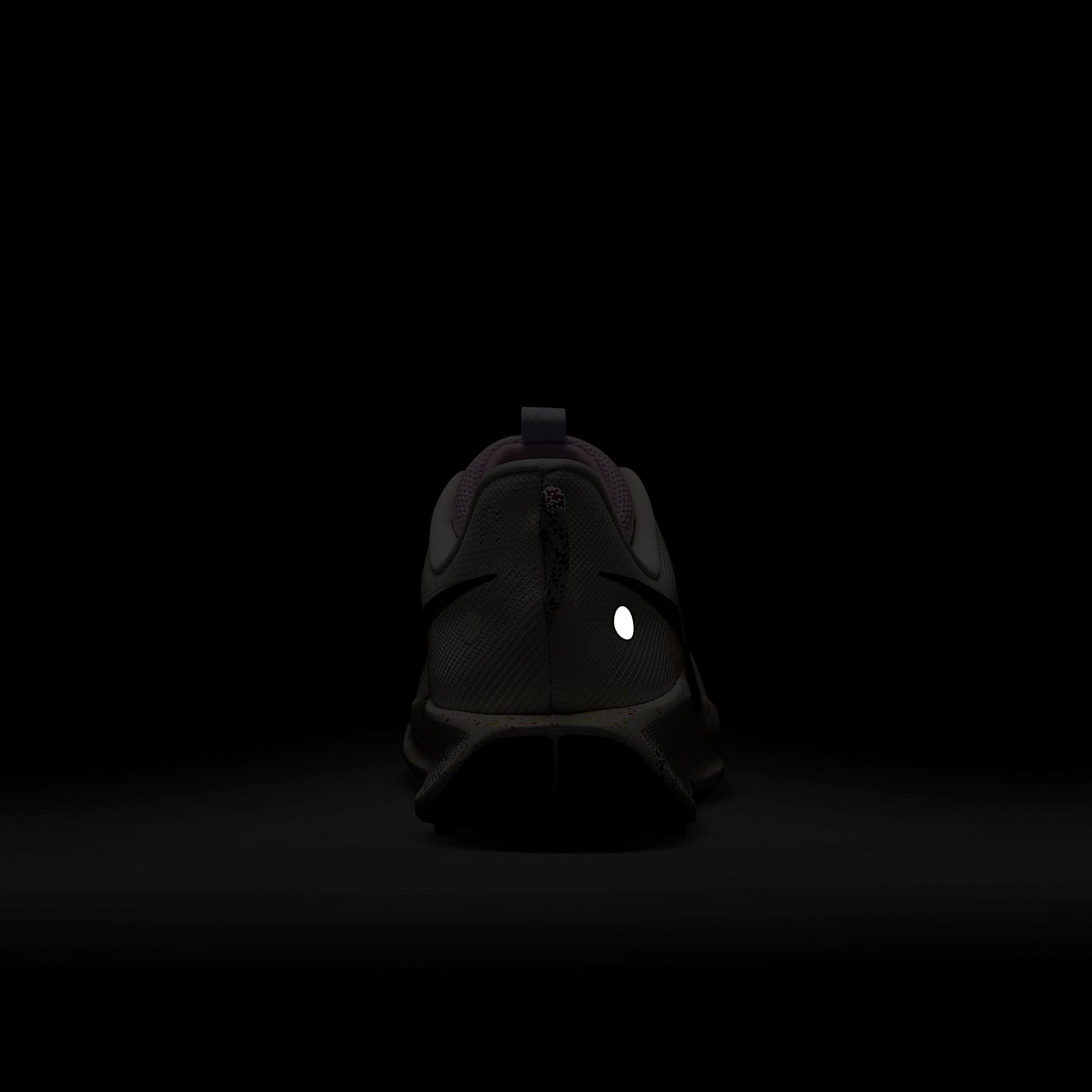 Nike Pegasus Trail 5 Men's Trail Running Shoes