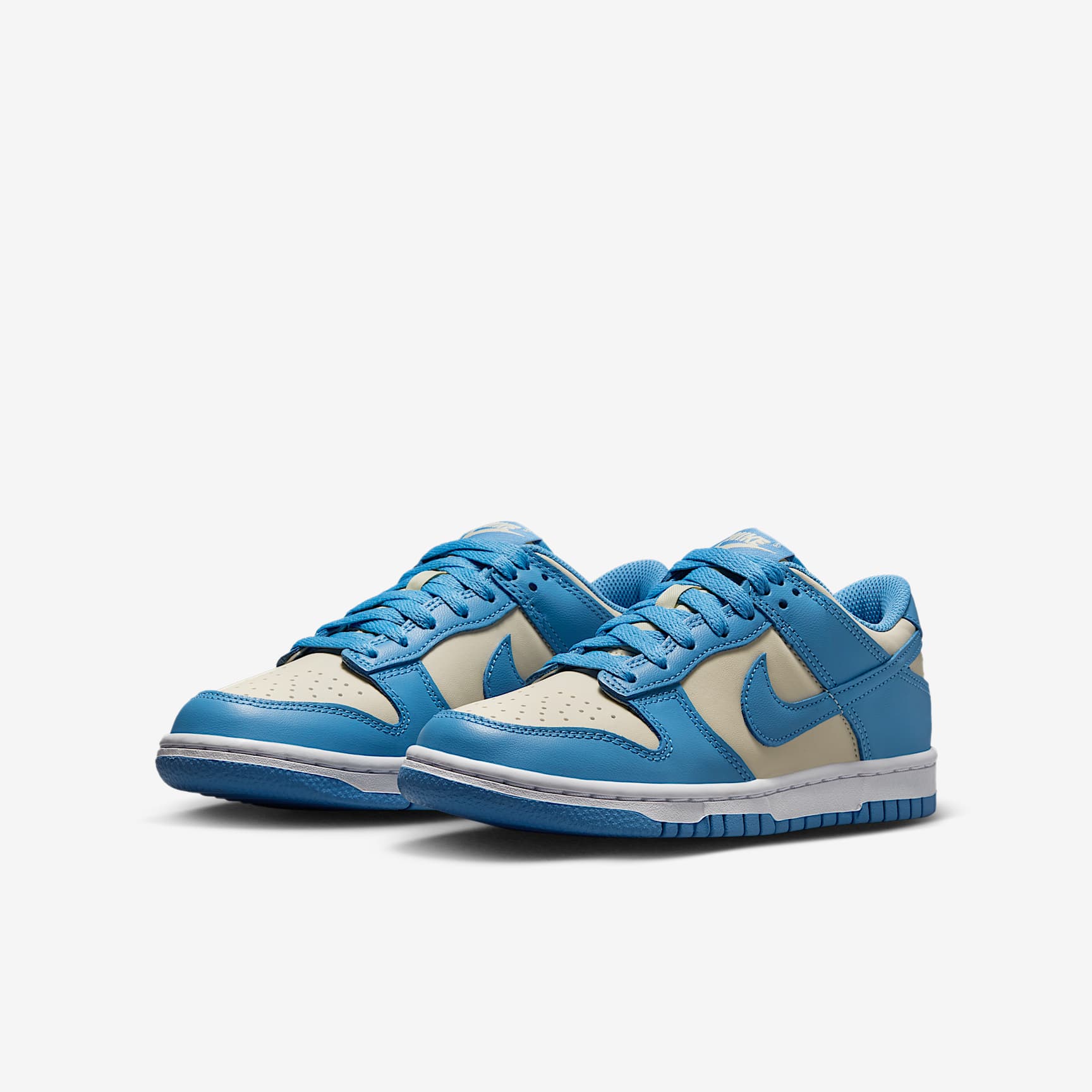 Nike Dunk Low Big Kids' Shoes