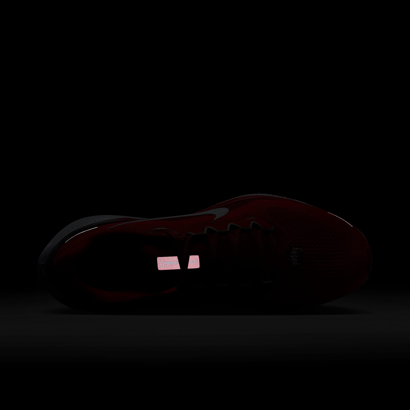 Ohio State Pegasus 41 Men's Nike College Road Running Shoes