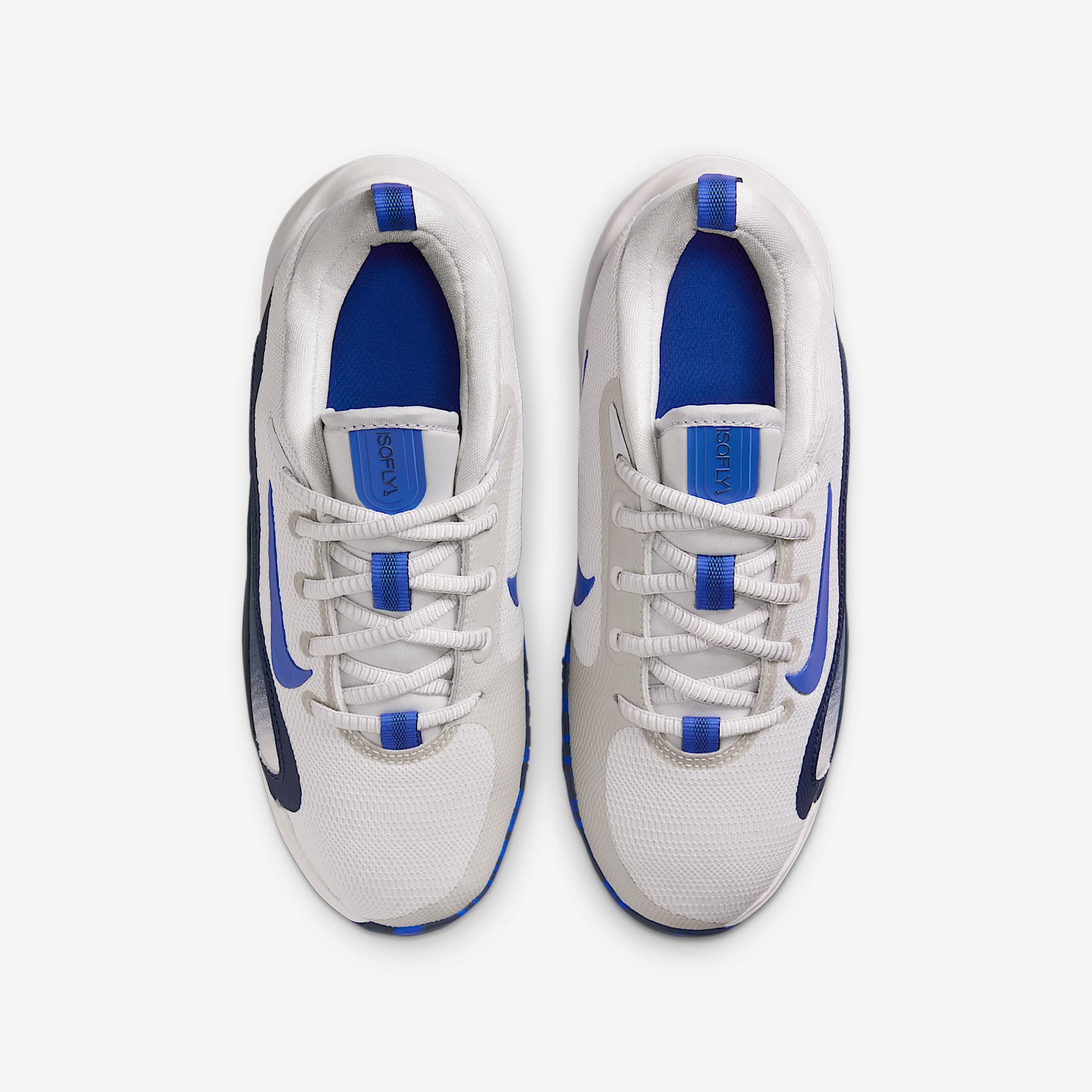 Nike IsoFly Big Kids' Basketball Shoes