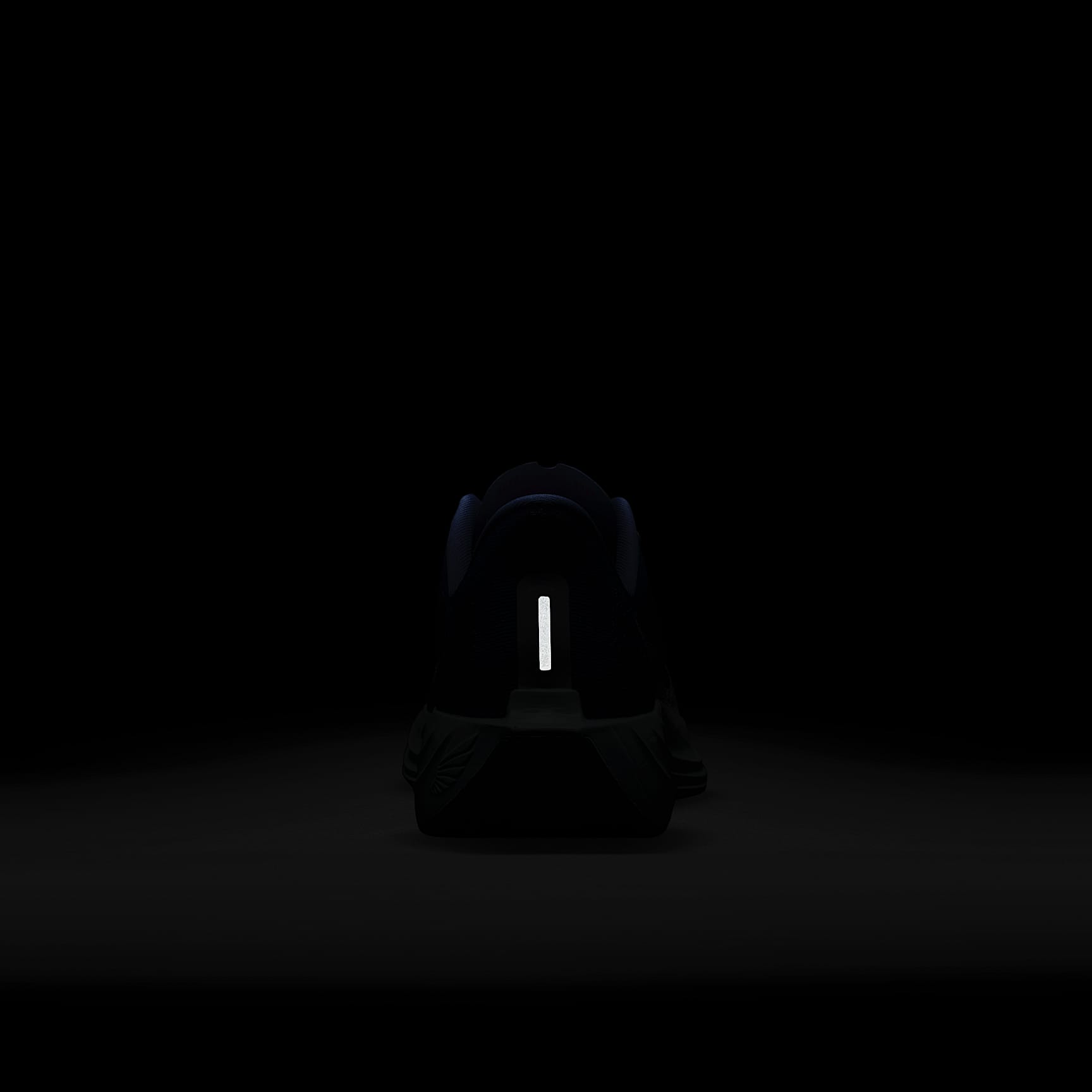 Nike Pegasus Plus Road Running Shoes