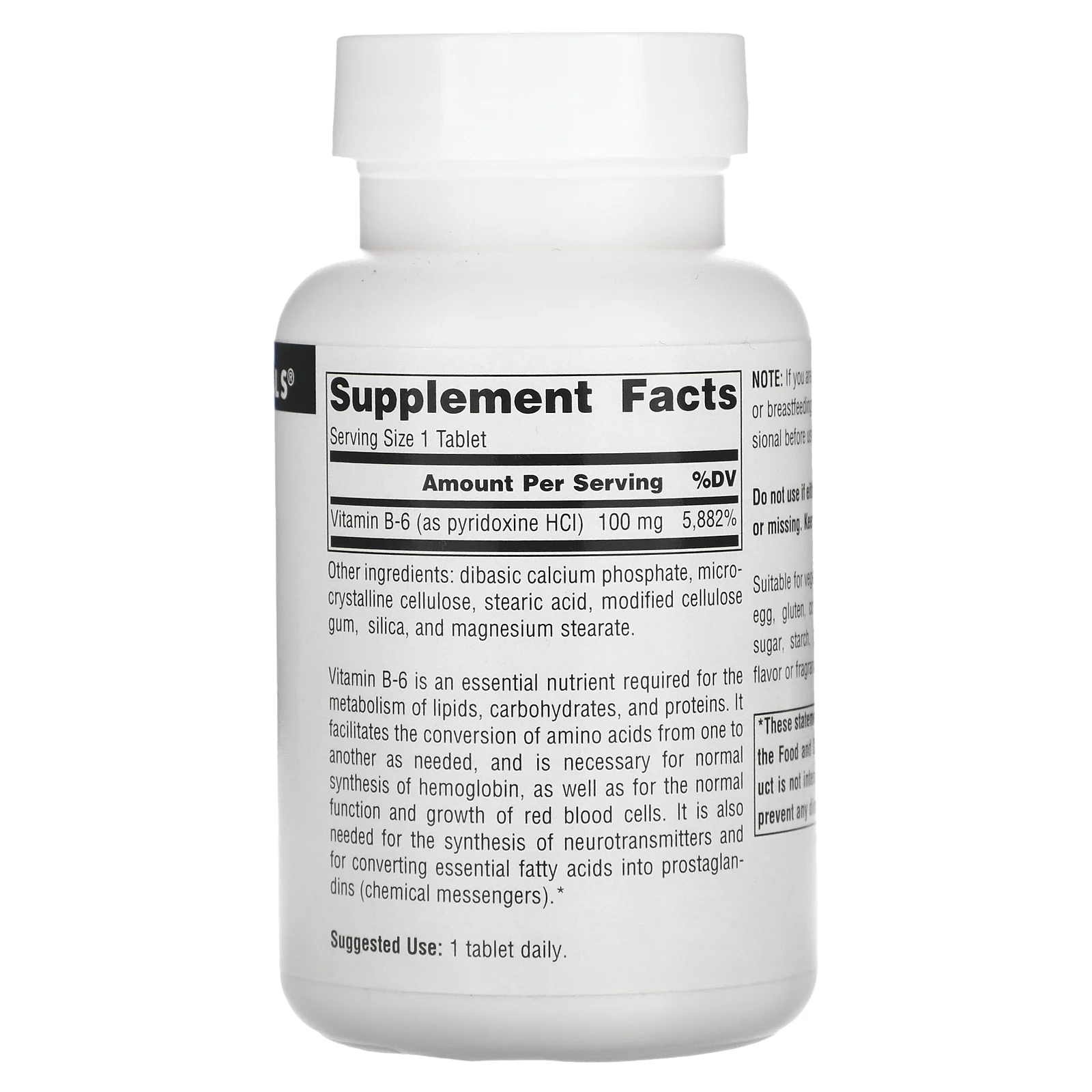 Source Naturals, B-6, 100 мг, 250 таблеток