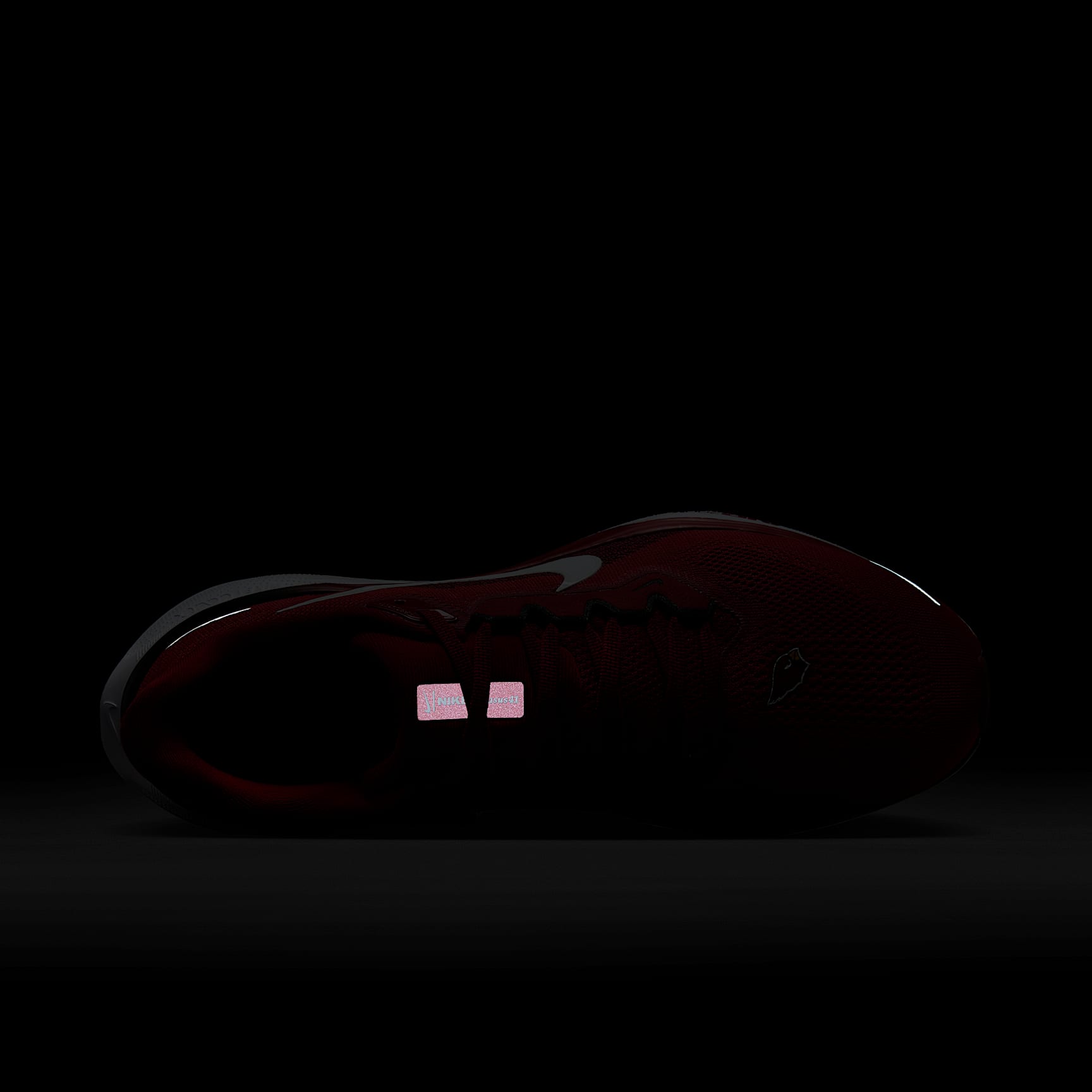 Nike Pegasus 41 NFL Arizona Cardinals Men's Road Running Shoes