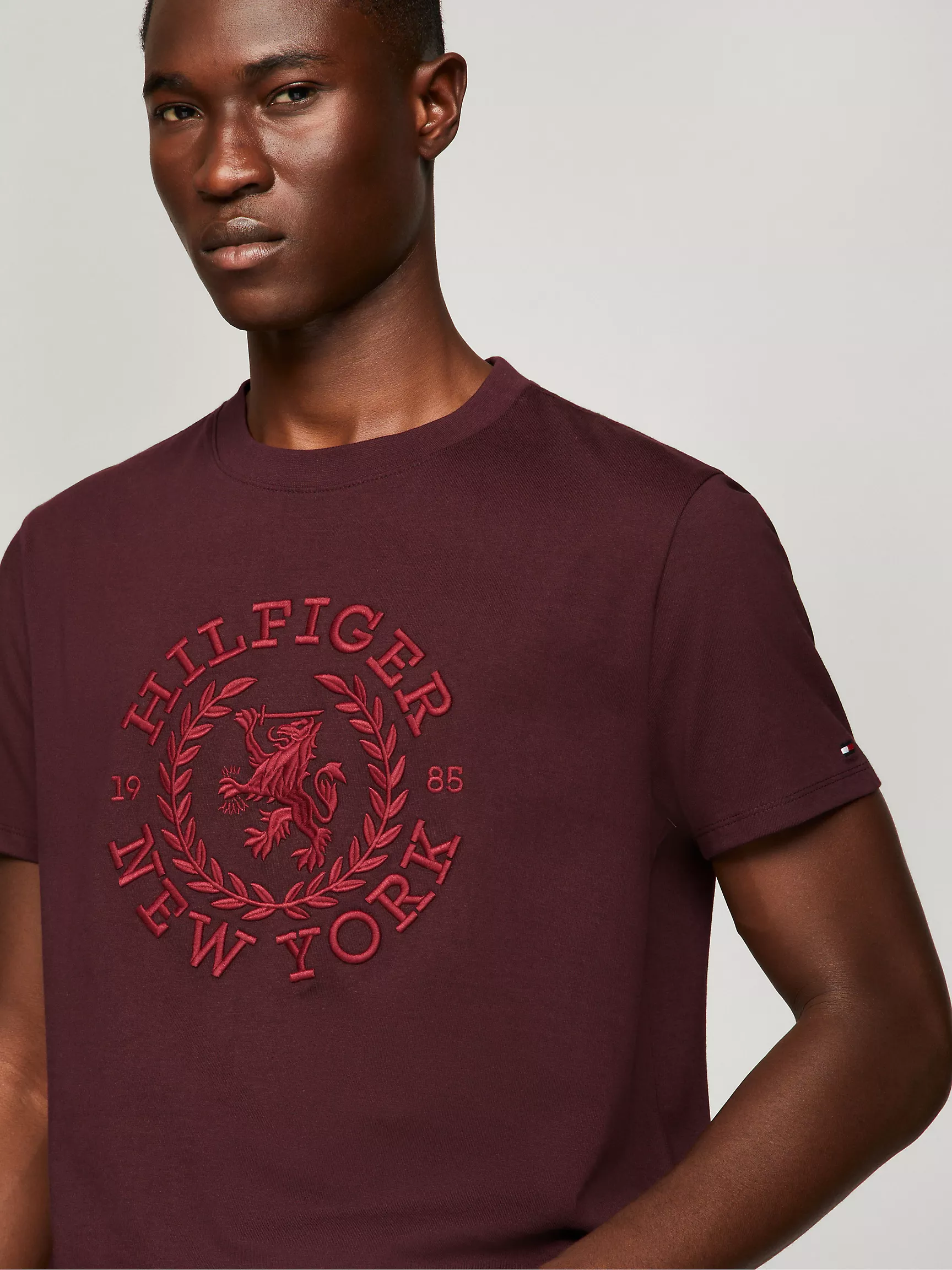 Мужская футболка Tommy Hilfiger, Футболка с вышитым логотипом Heritage Crest