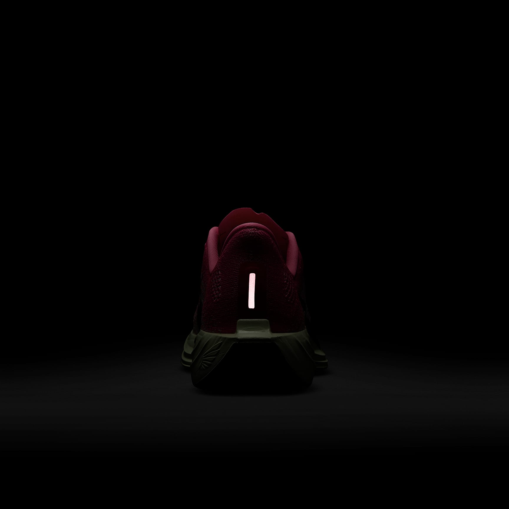 Nike Pegasus Plus Women's Road Running Shoes