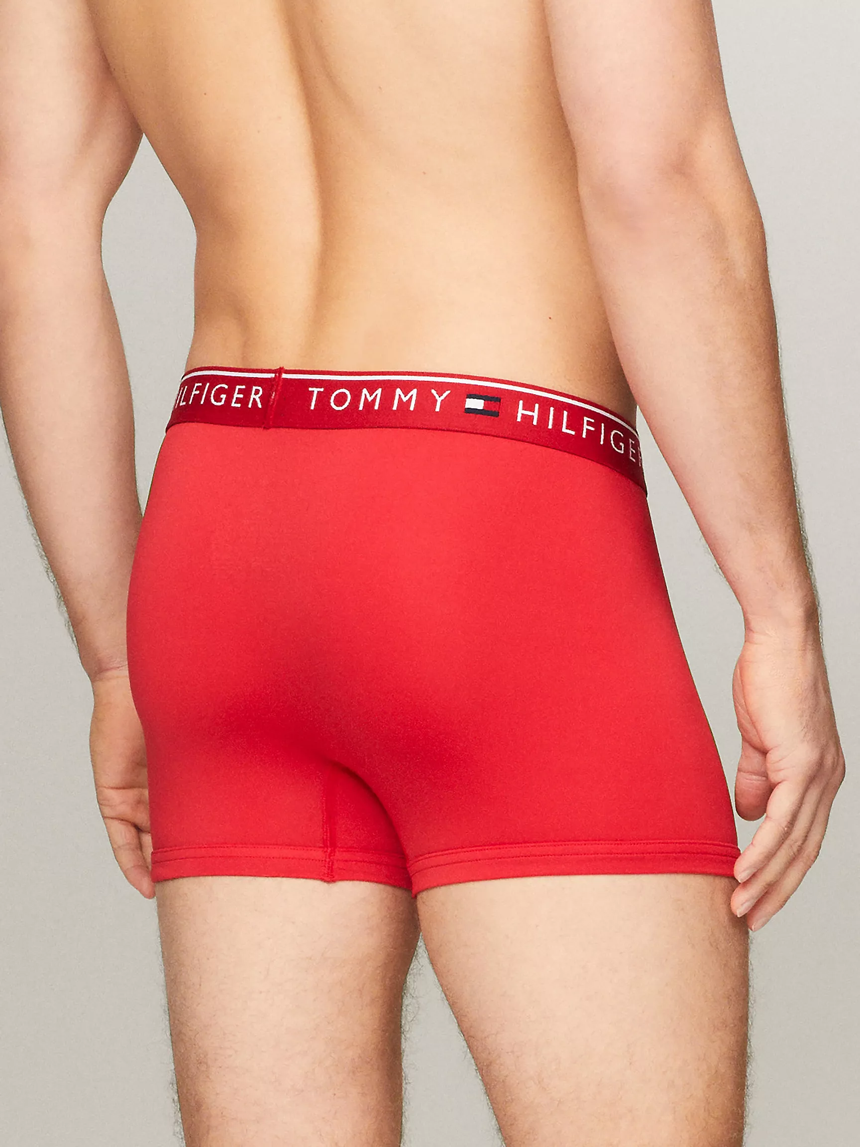 Мужское нижнее белье Tommy Hilfiger, Микрофибровые трусы-боксёры TH (набор 3 шт.)