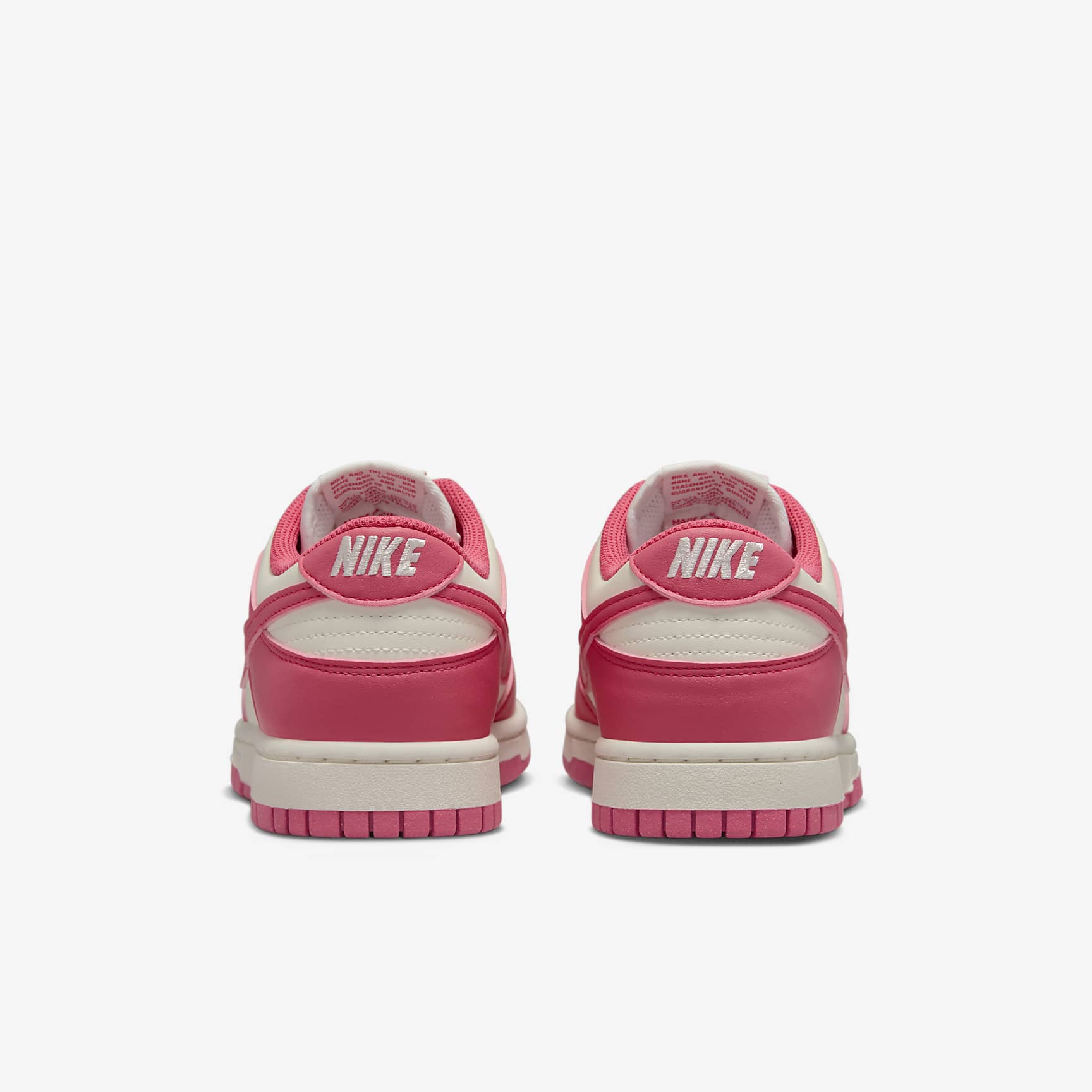 Nike Dunk Low Next Nature Women's Shoes