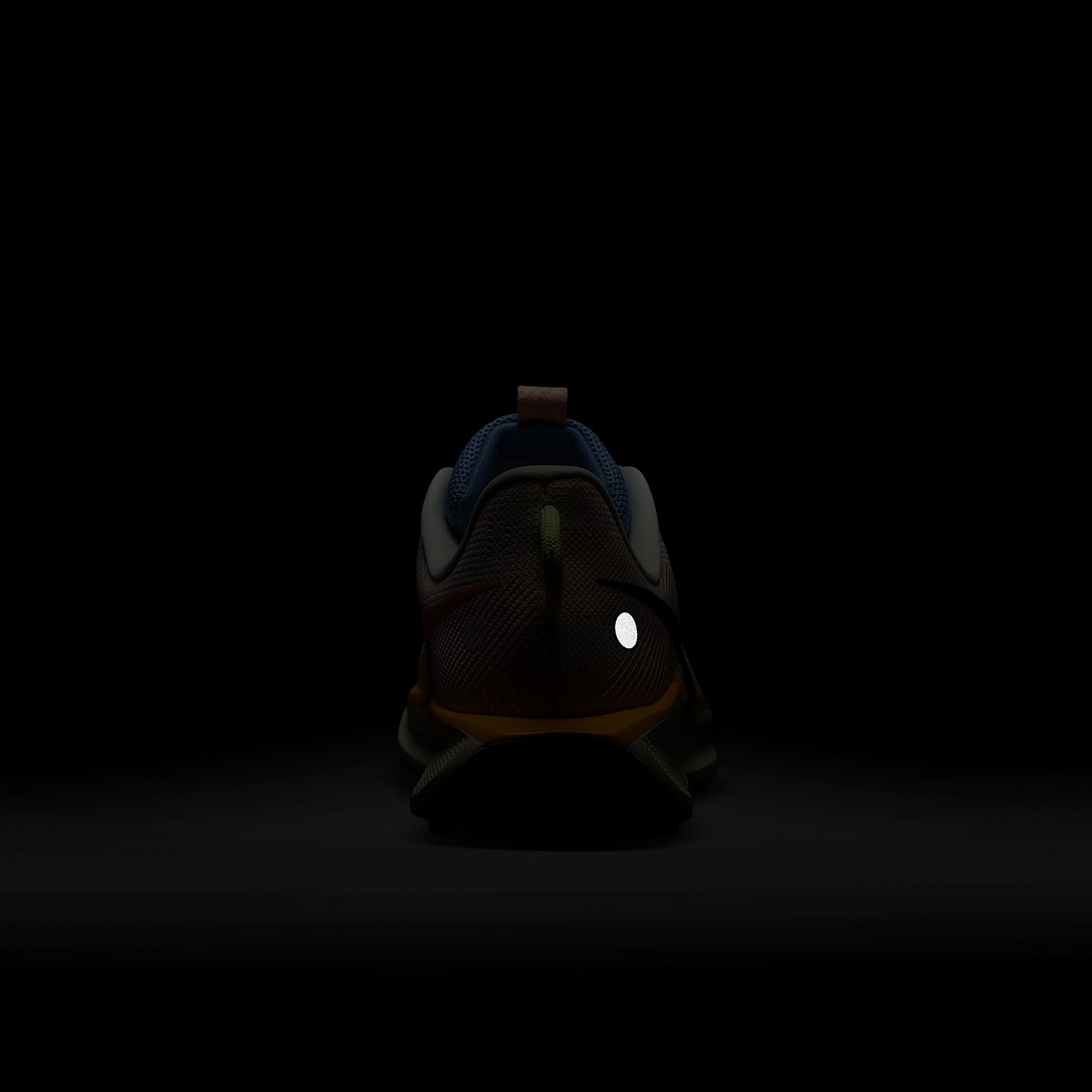 Nike Pegasus Trail 5 Women's Trail Running Shoes