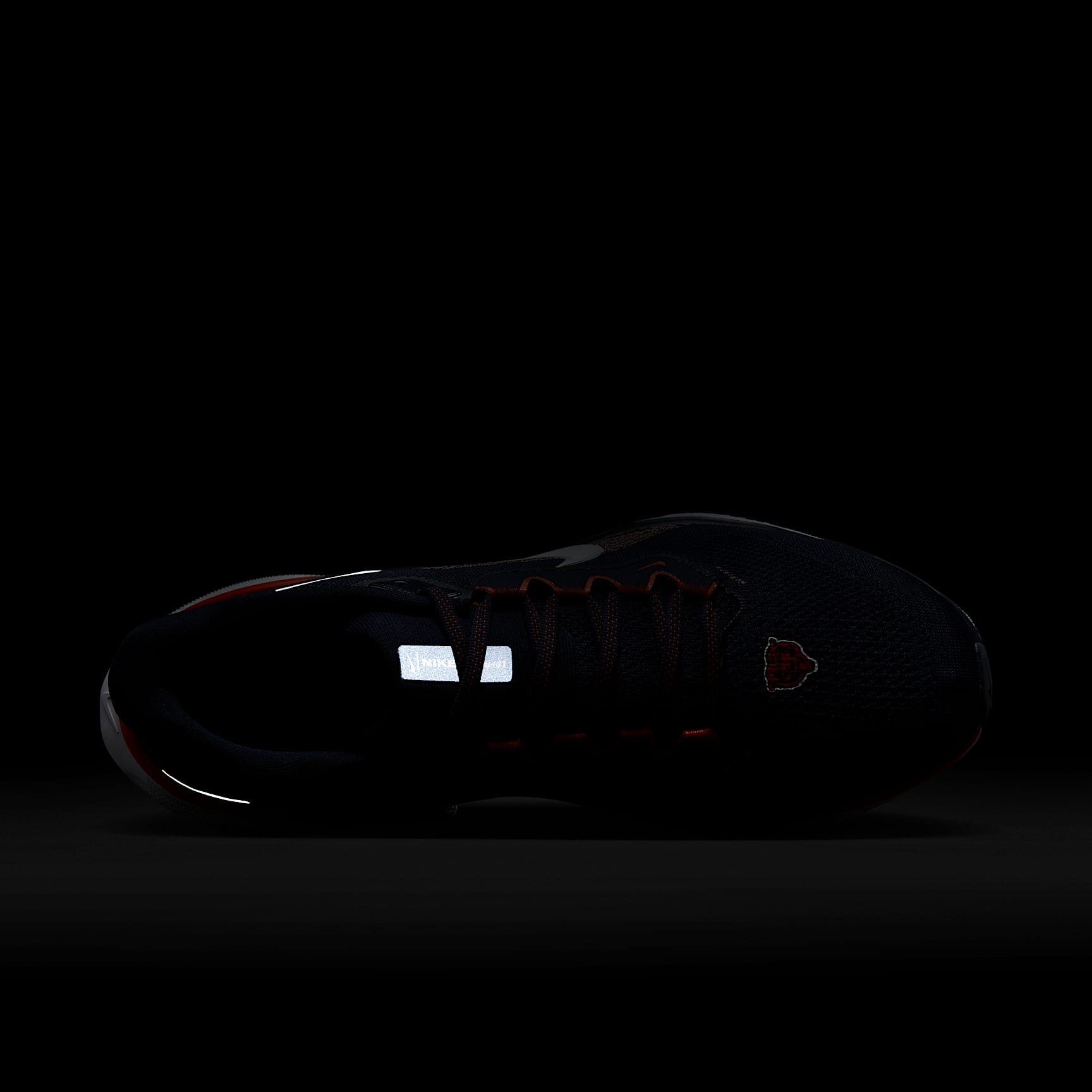 Nike Pegasus 41 NFL Chicago Bears Men's Road Running Shoes