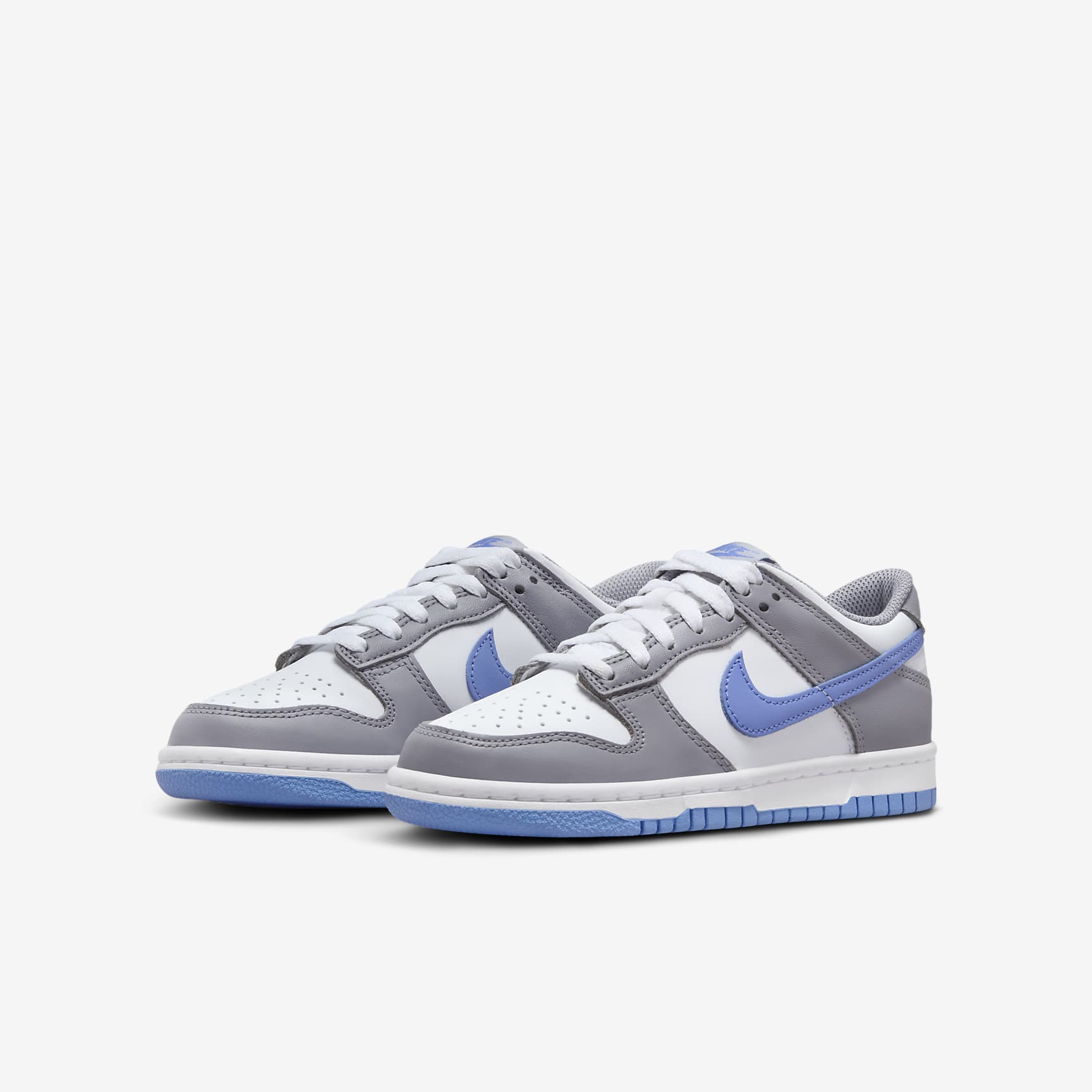 Nike Dunk Low Big Kids' Shoes