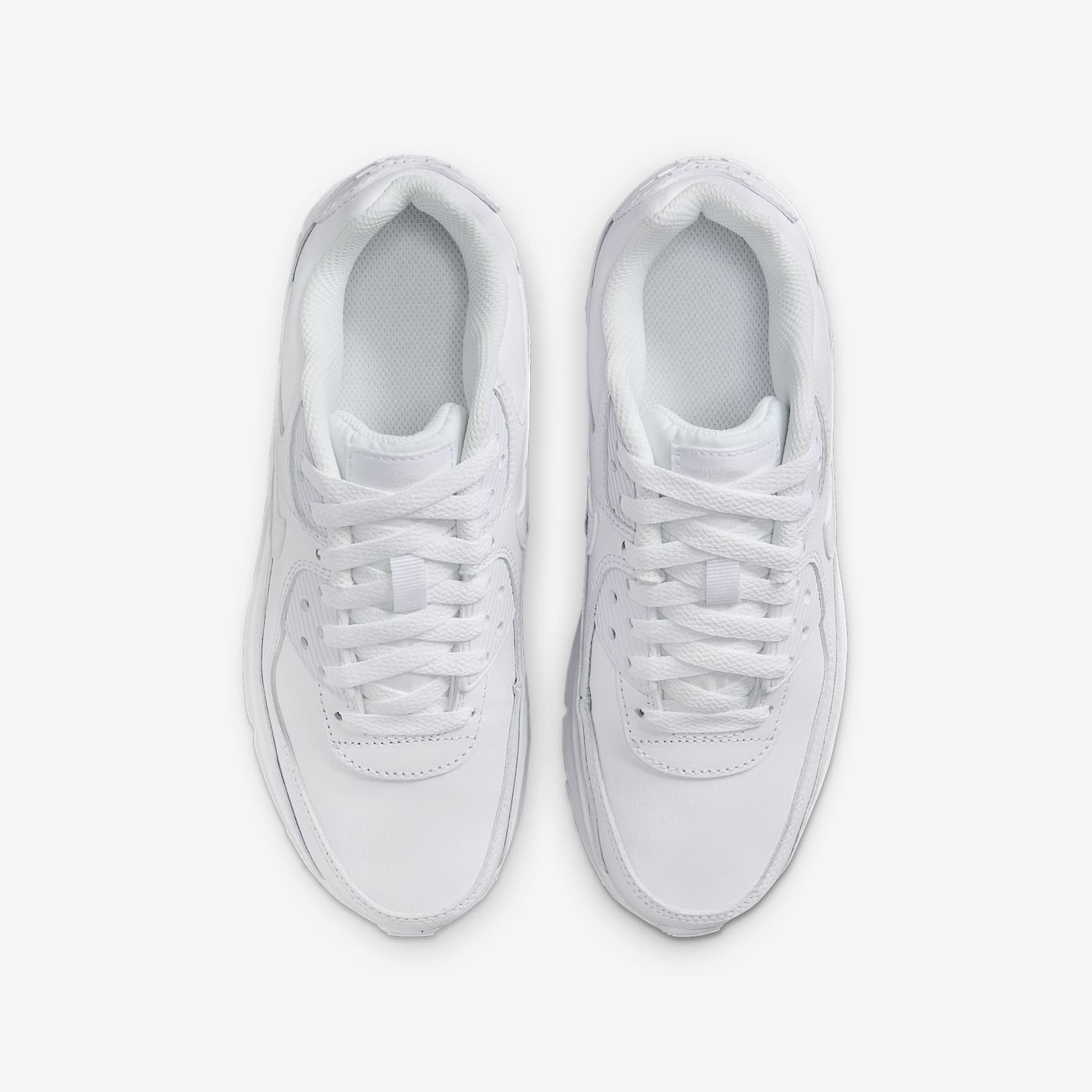 Nike Air Max 90 LTR Big Kids’ Shoes