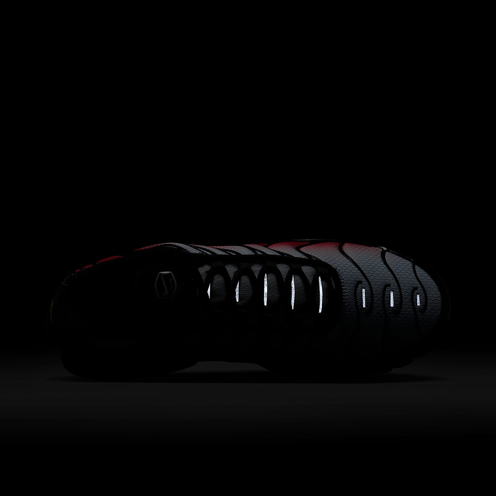 Nike Air Max Plus Men's Shoes