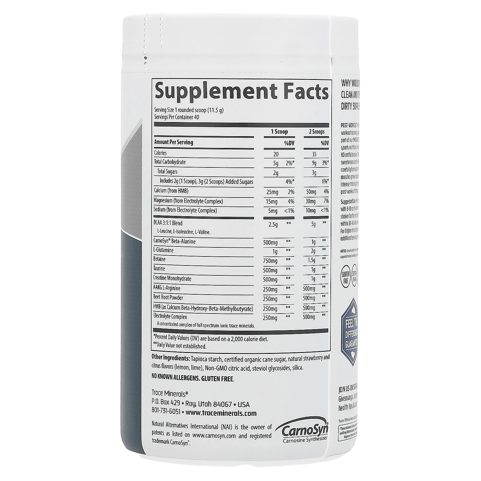 Trace Minerals ®, TMSPORT, очищающий продукт после тренировки, со вкусом клубничного лимонада, 460 г (1,01 фунта)