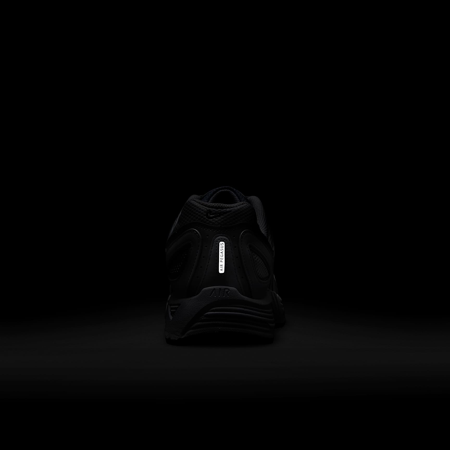 Nike Air Pegasus 2005 Men's Shoes