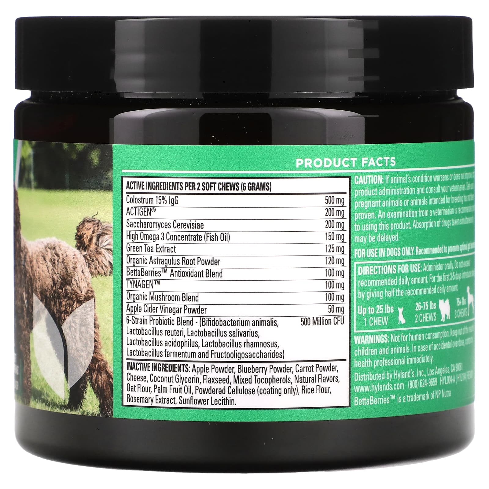 Hyland's Naturals, Immune Boost, для собак, сыр, 270 г (9,5 унции)