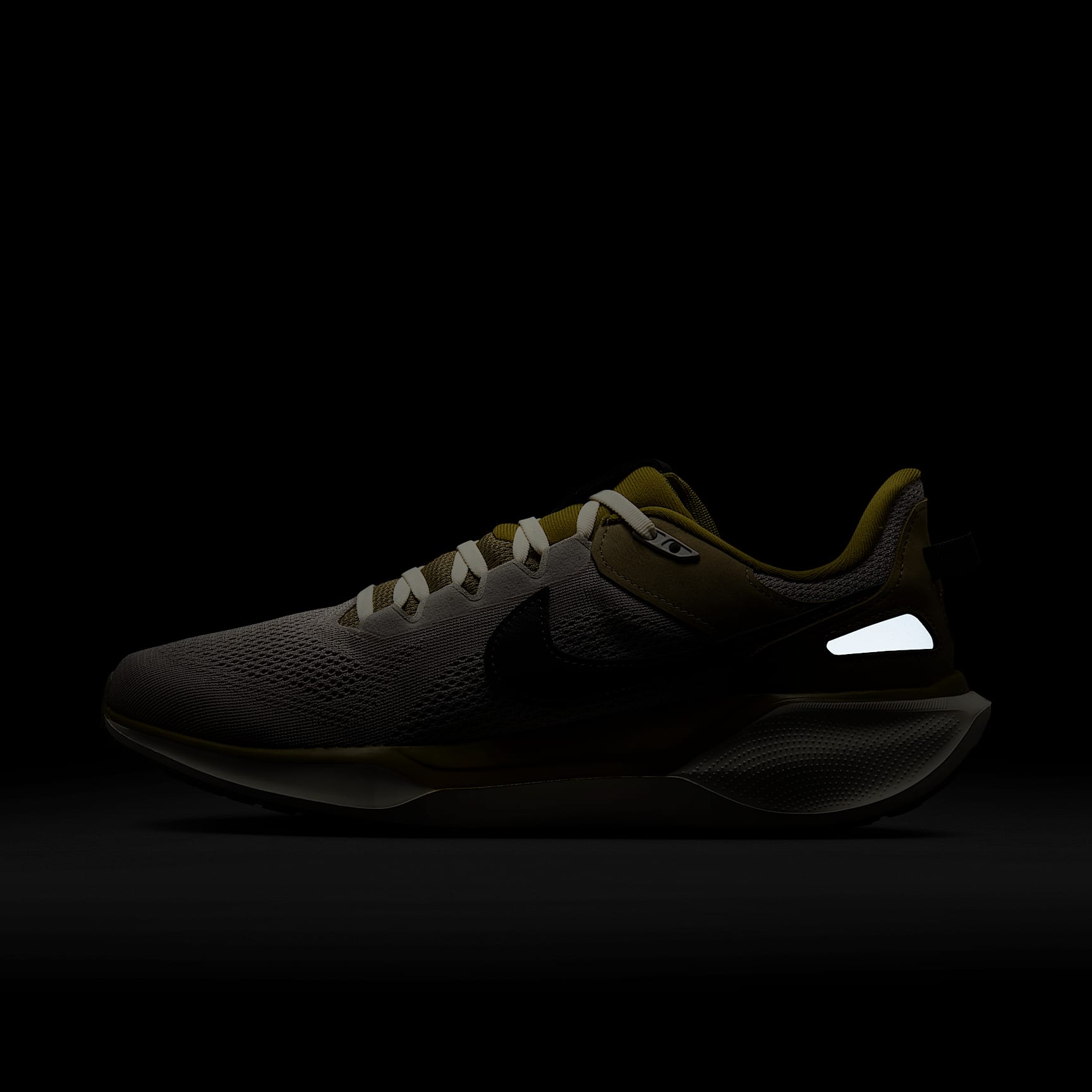 Nike Air Zoom Pegasus 41 SP Men's Shoes