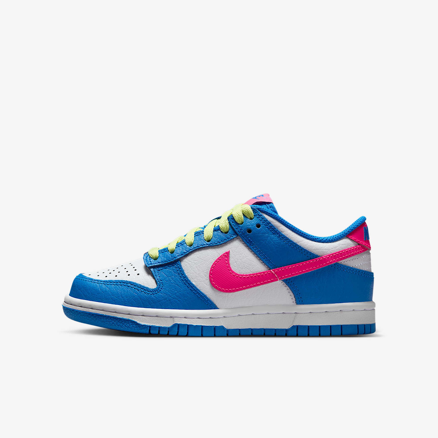 Nike Dunk Low Big Kids' Shoes