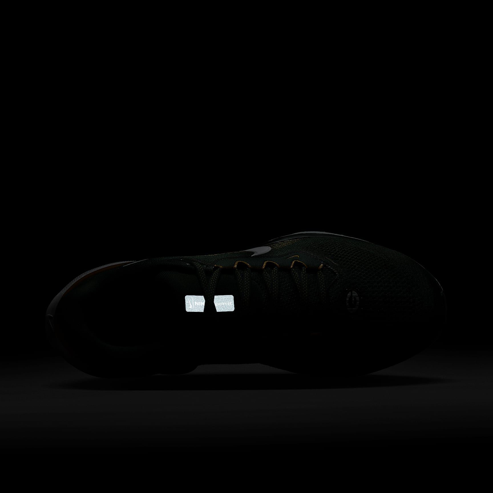 Nike Pegasus 41 NFL Green Bay Packers Men's Road Running Shoes