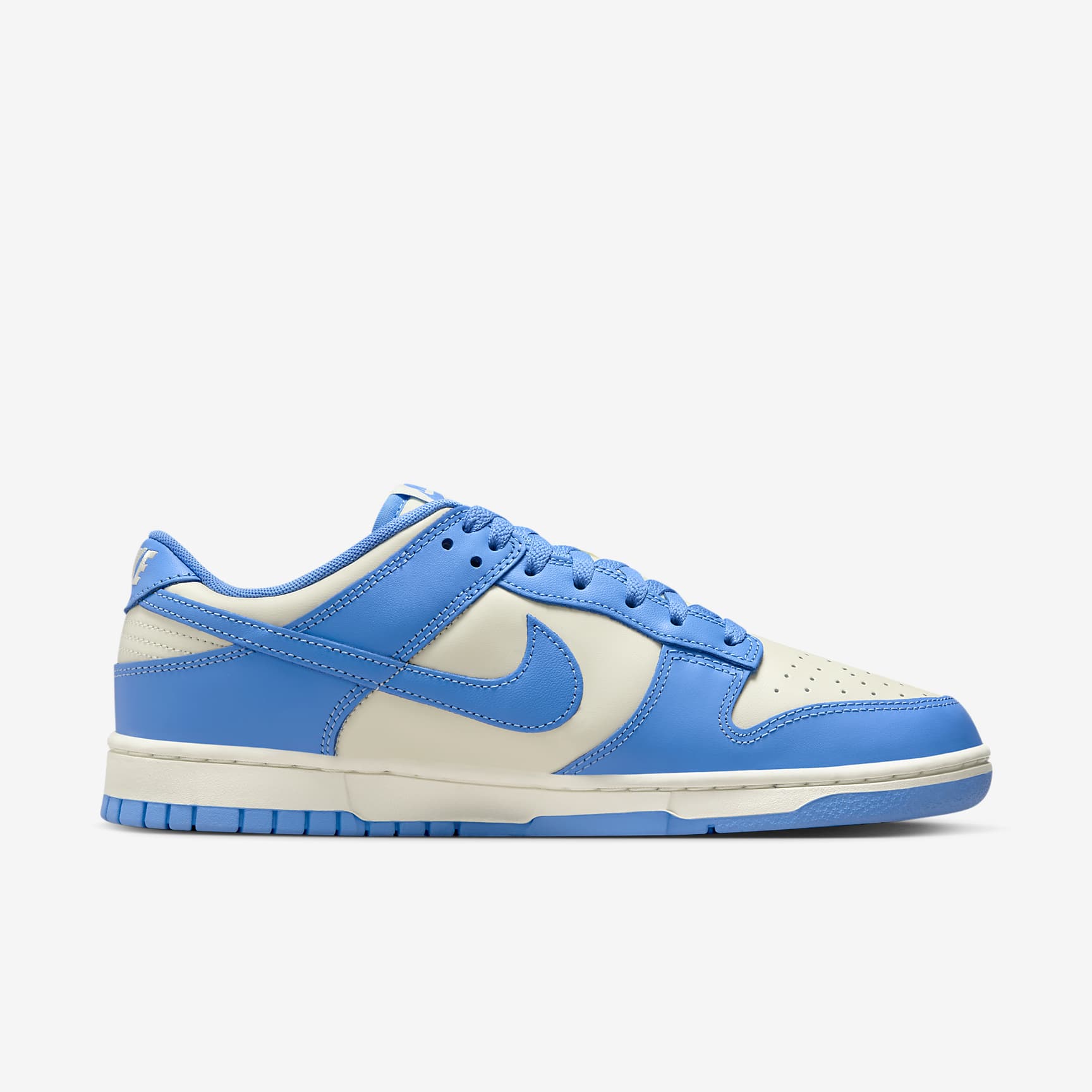 Nike Dunk Low Retro Men's Shoes