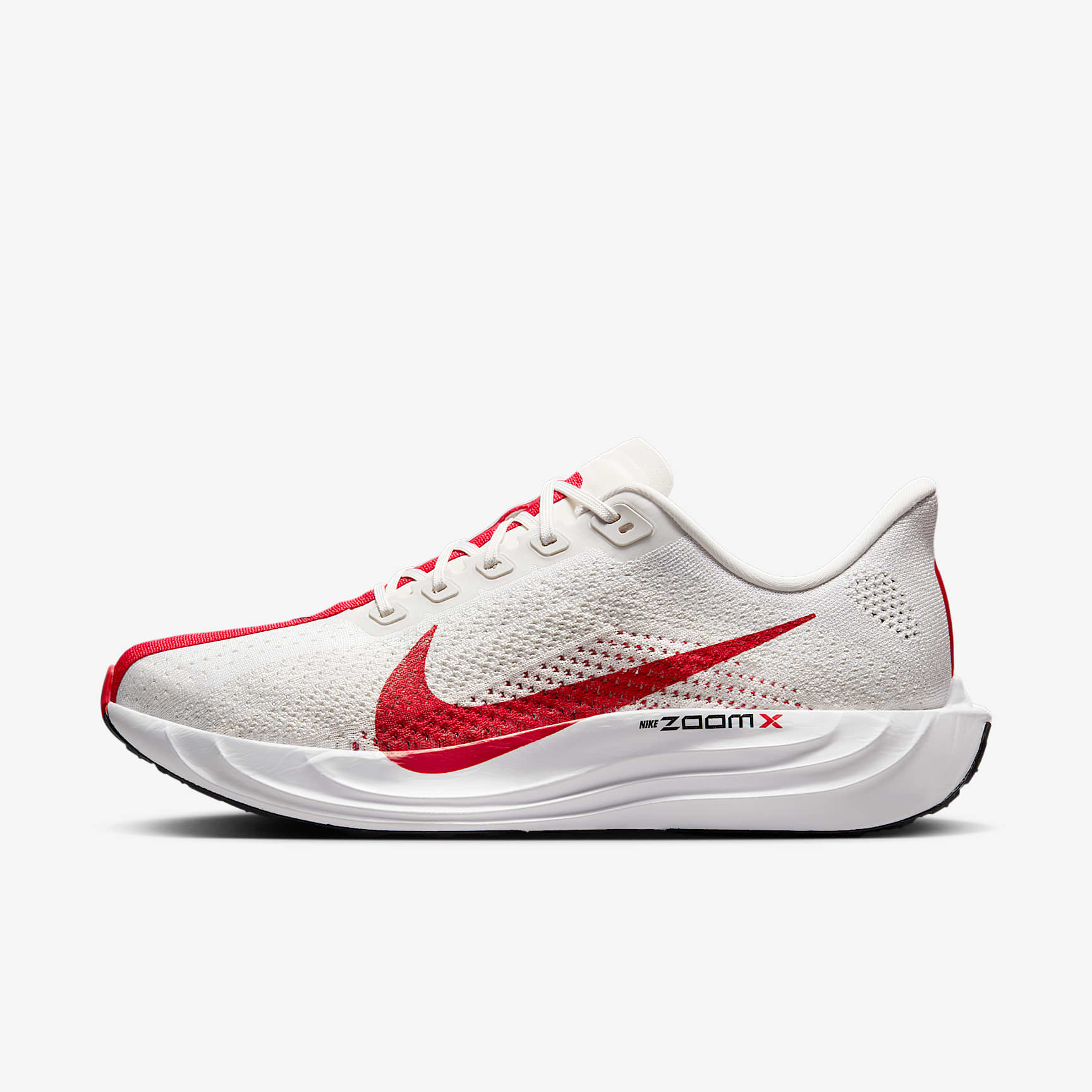 Nike Pegasus Plus Men's Road Running Shoes
