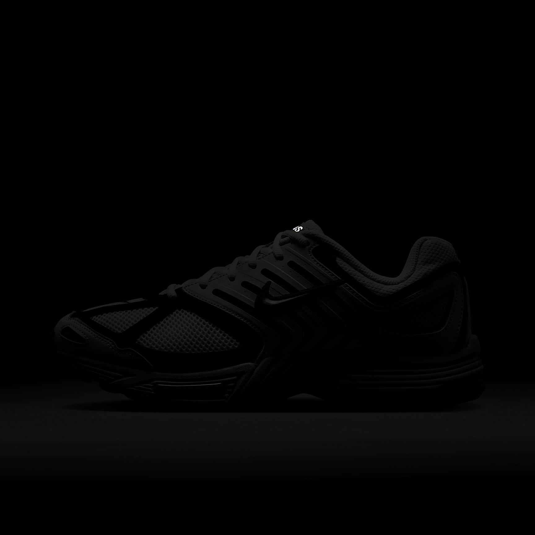 Nike Air Pegasus 2005 Men's Shoes