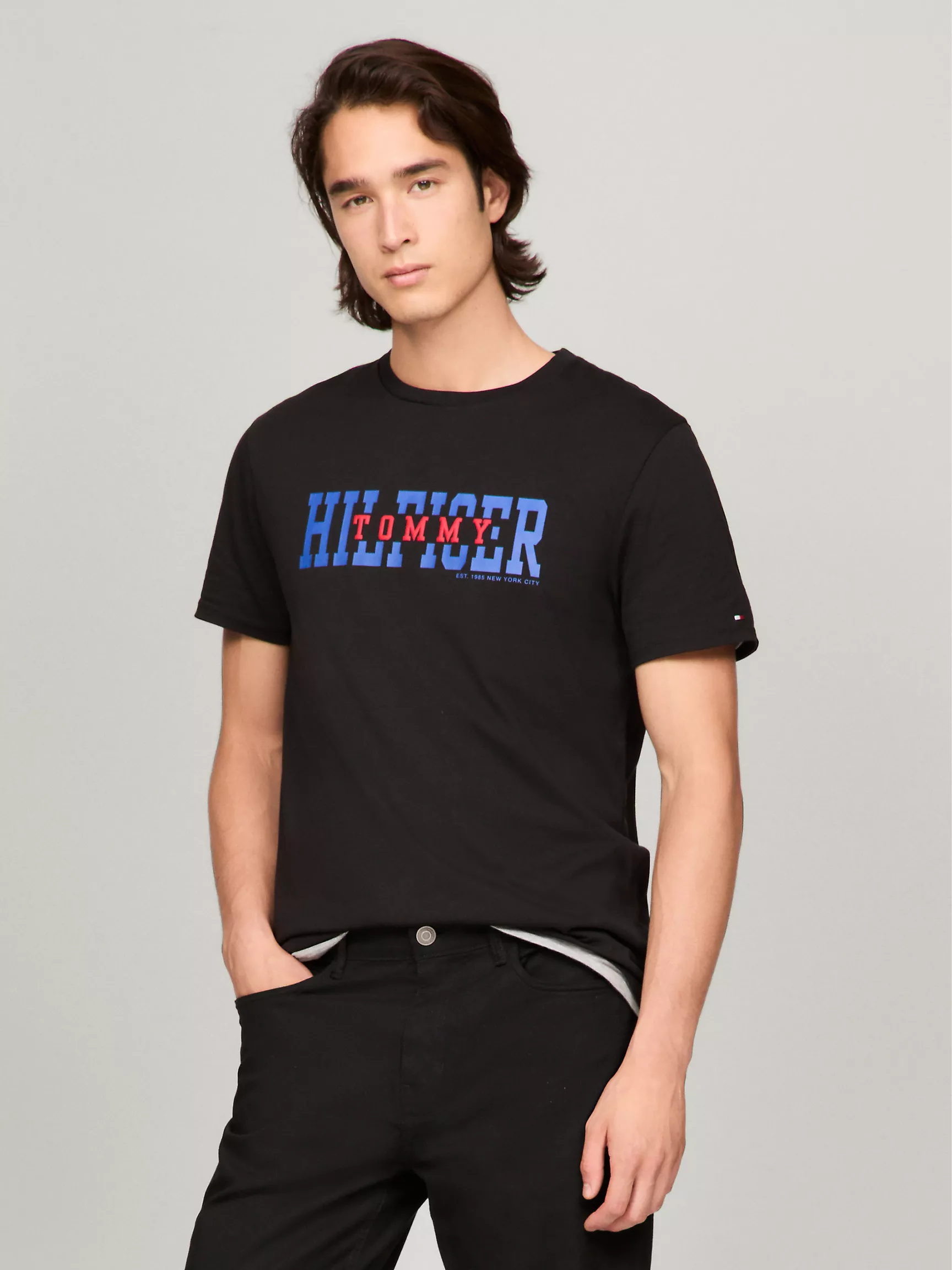 Мужская футболка Tommy Hilfiger, Футболка Tommy с университетским логотипом