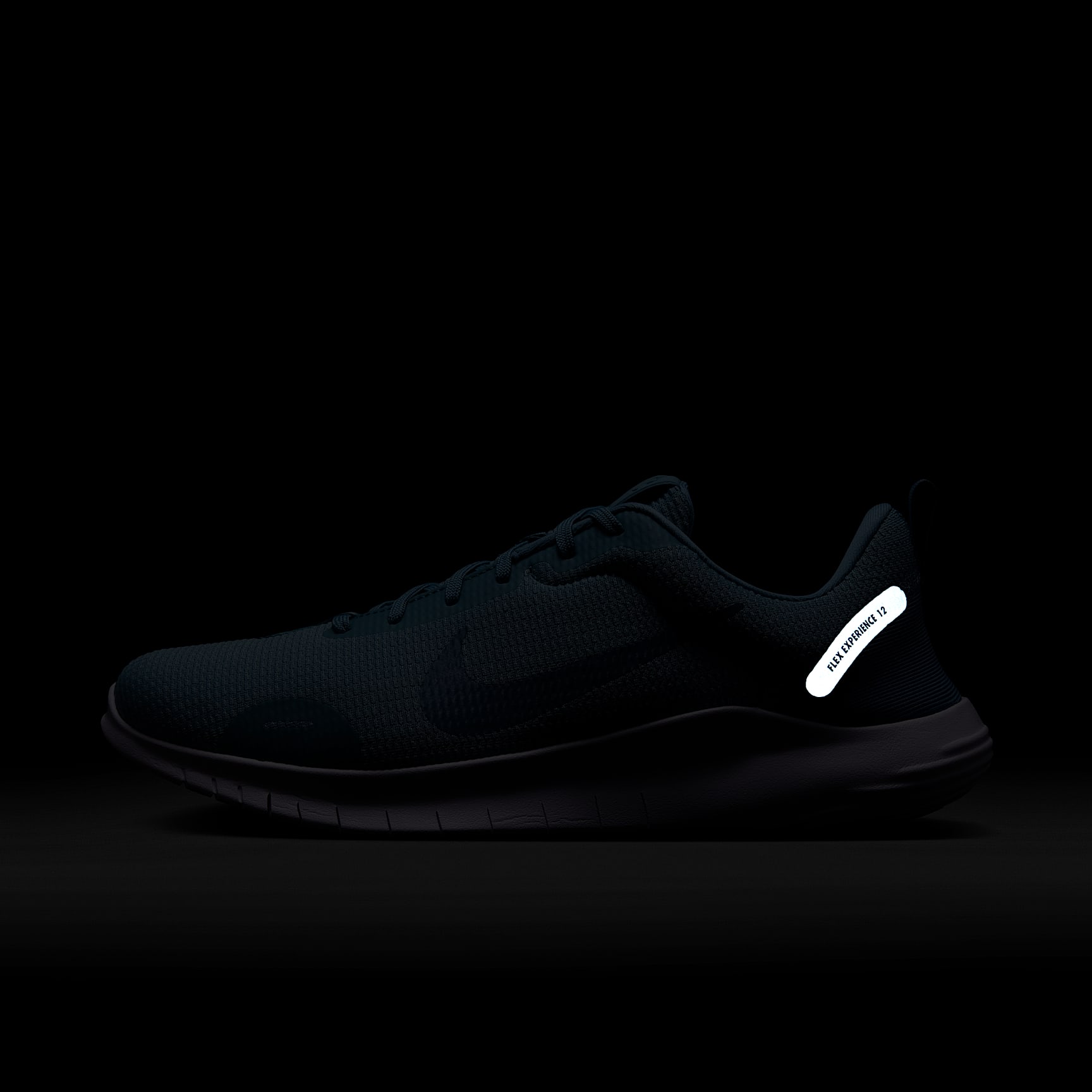 Nike Flex Experience Run 12 Men's Road Running Shoes
