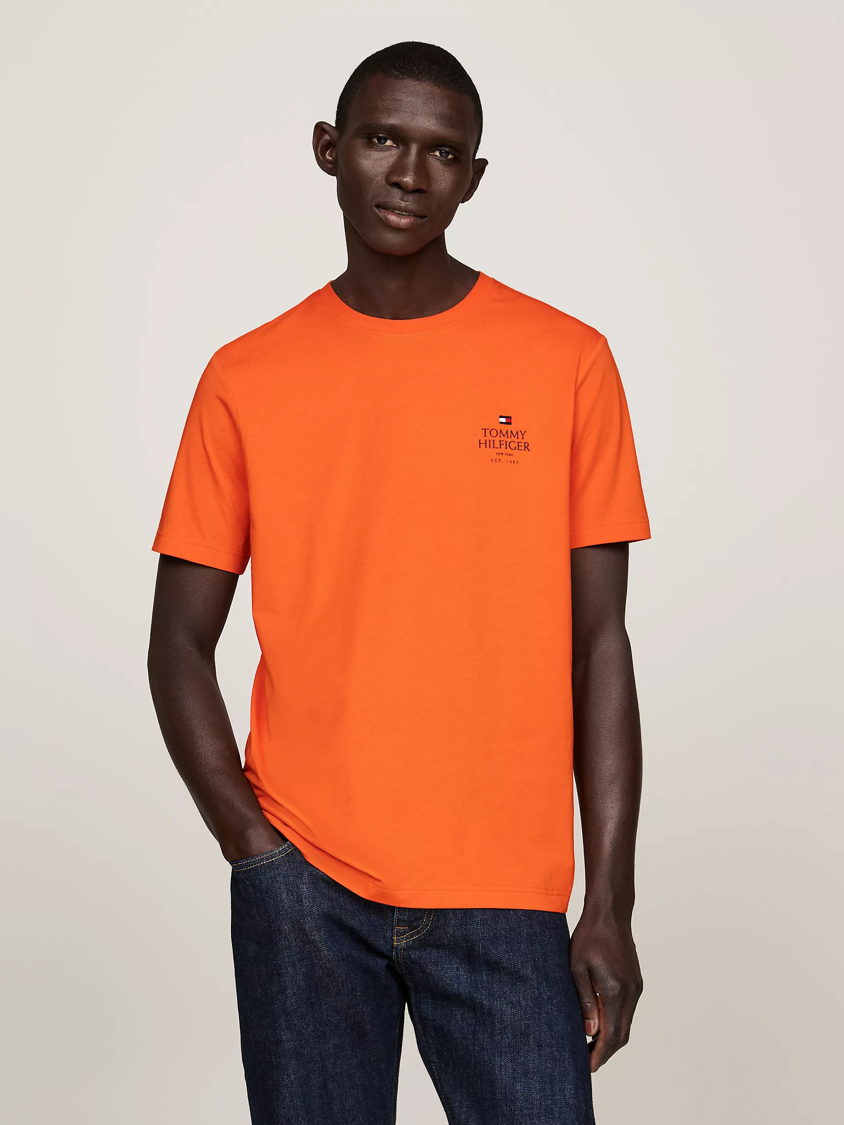 Мужская футболка Tommy Hilfiger, Футболка с логотипом Tommy