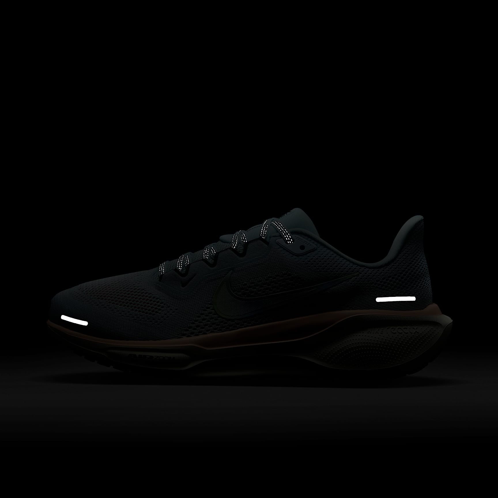 Nike Pegasus 41 PRM Women's Road Running Shoes