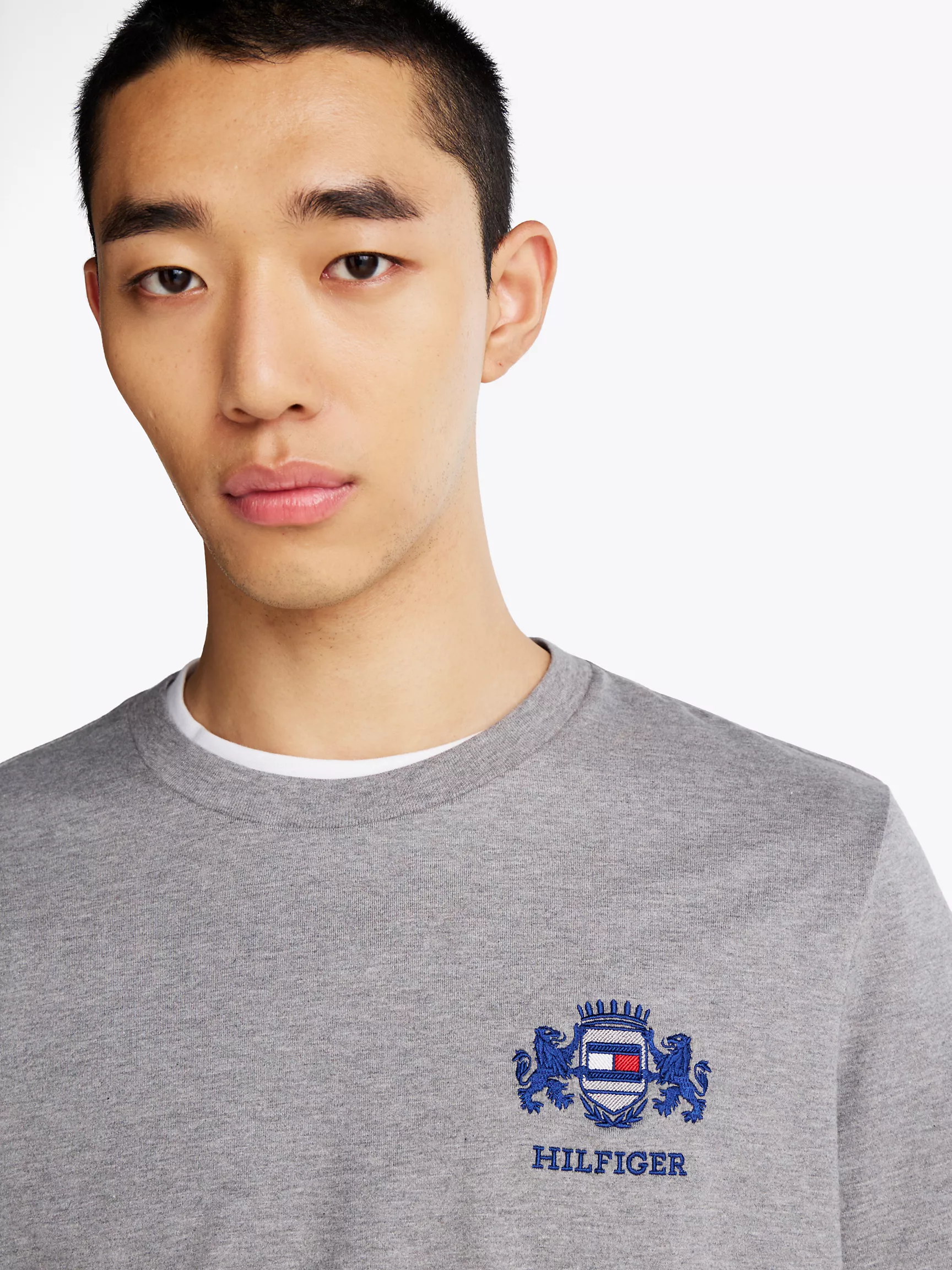 Мужская футболка Tommy Hilfiger, Футболка с вышитым флагом и гербом