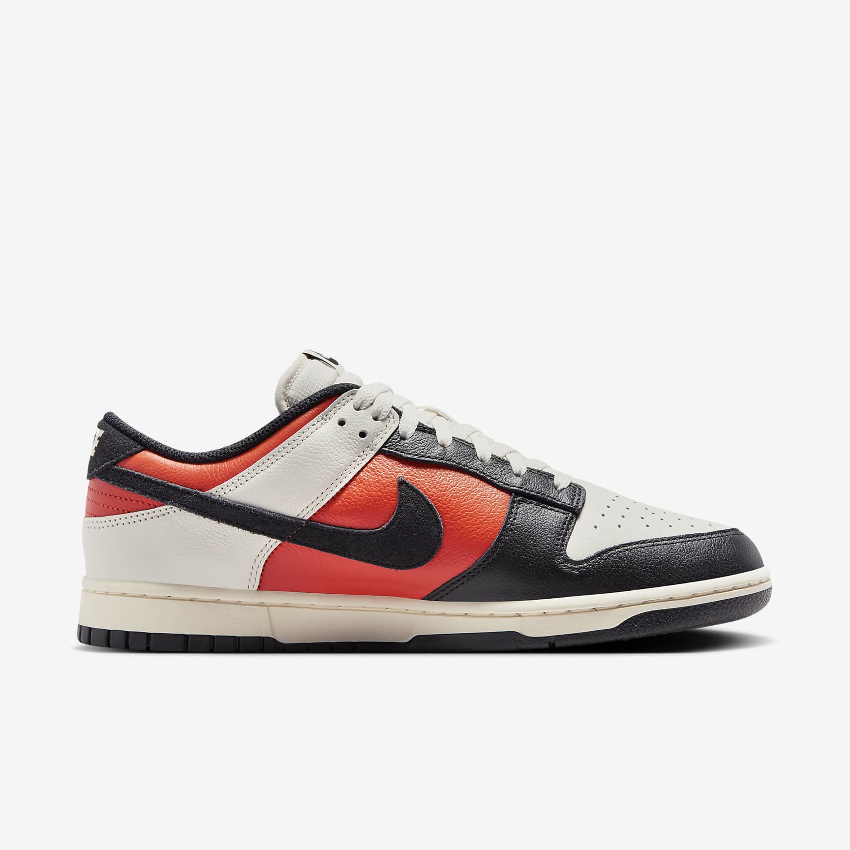 Nike Dunk Low Retro Men's Shoes