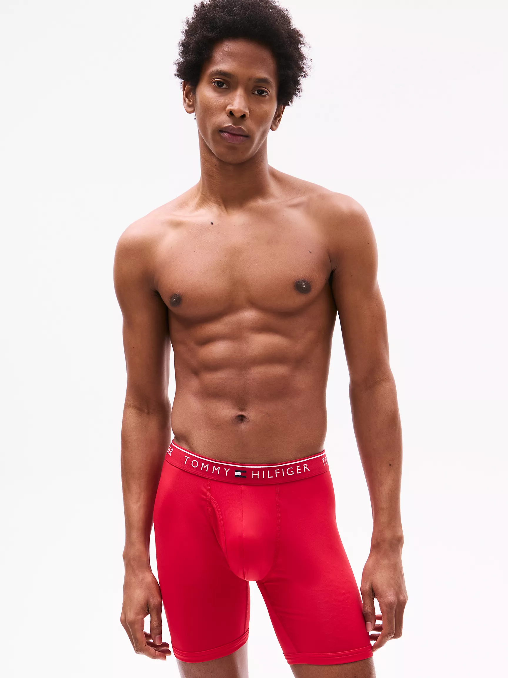 Мужское нижнее белье Tommy Hilfiger, Микрофибровые боксеры-брифы TH (набор 3 шт.)