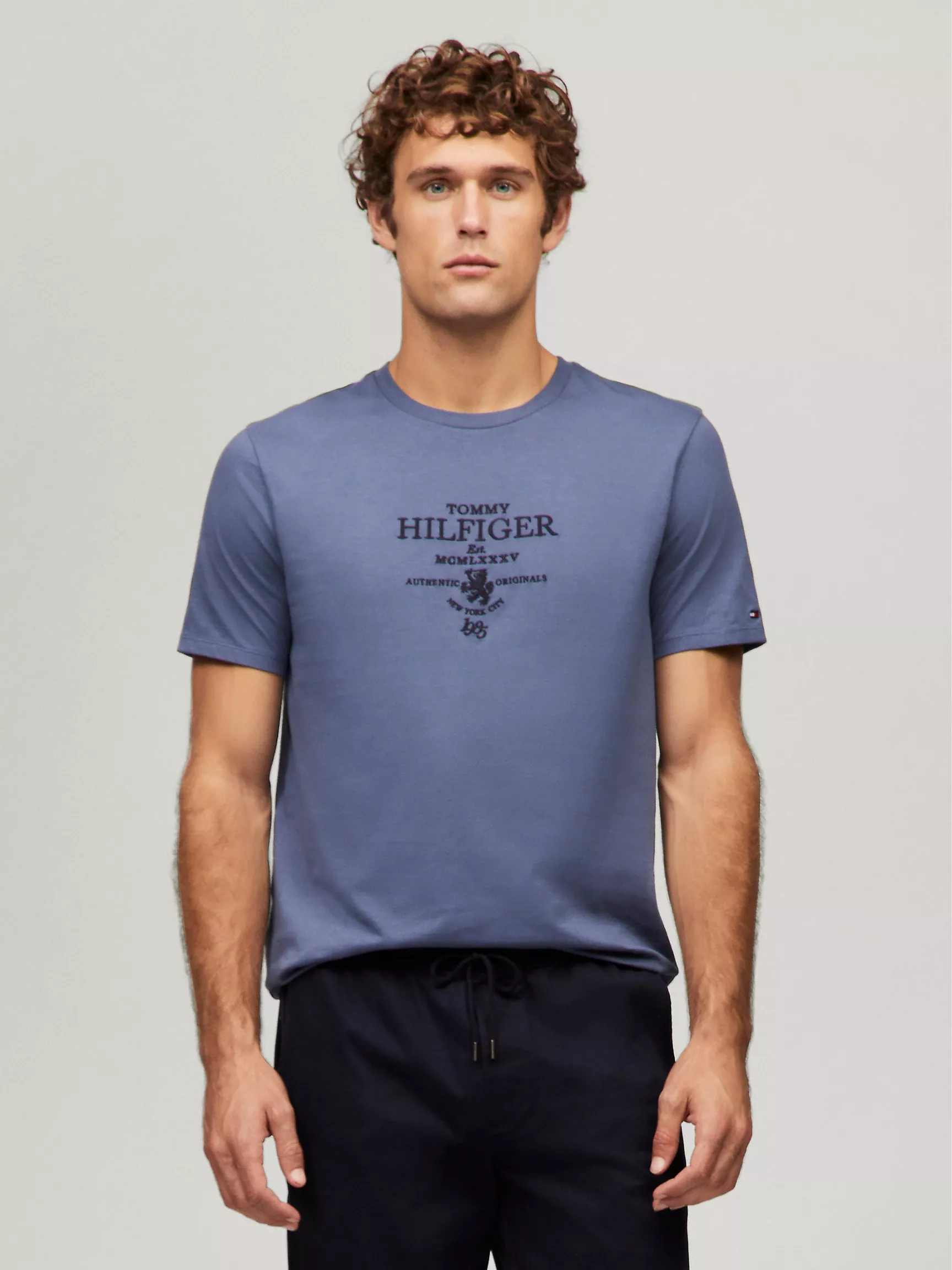 Мужская футболка Tommy Hilfiger, Футболка с логотипом Tommy Heritage