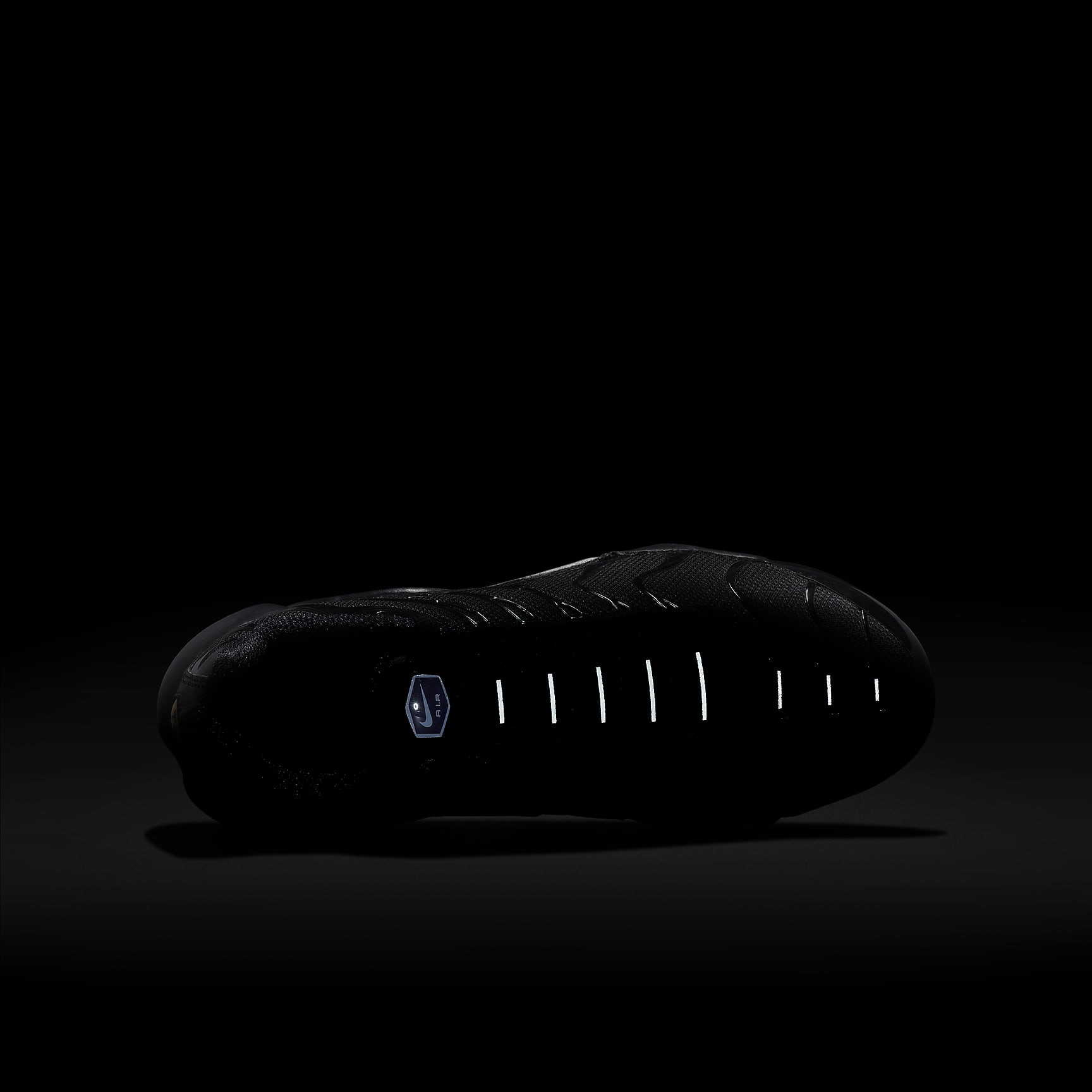 Nike Air Max Plus Big Kids' Shoes