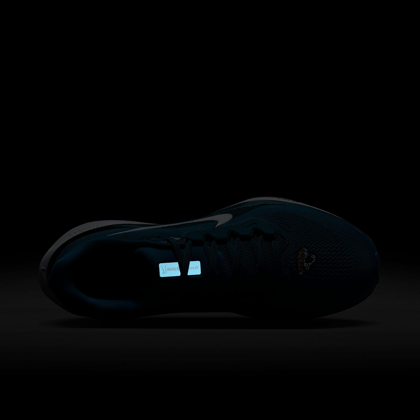 Nike Pegasus 41 NFL Jacksonville Jaguars Men's Road Running Shoes