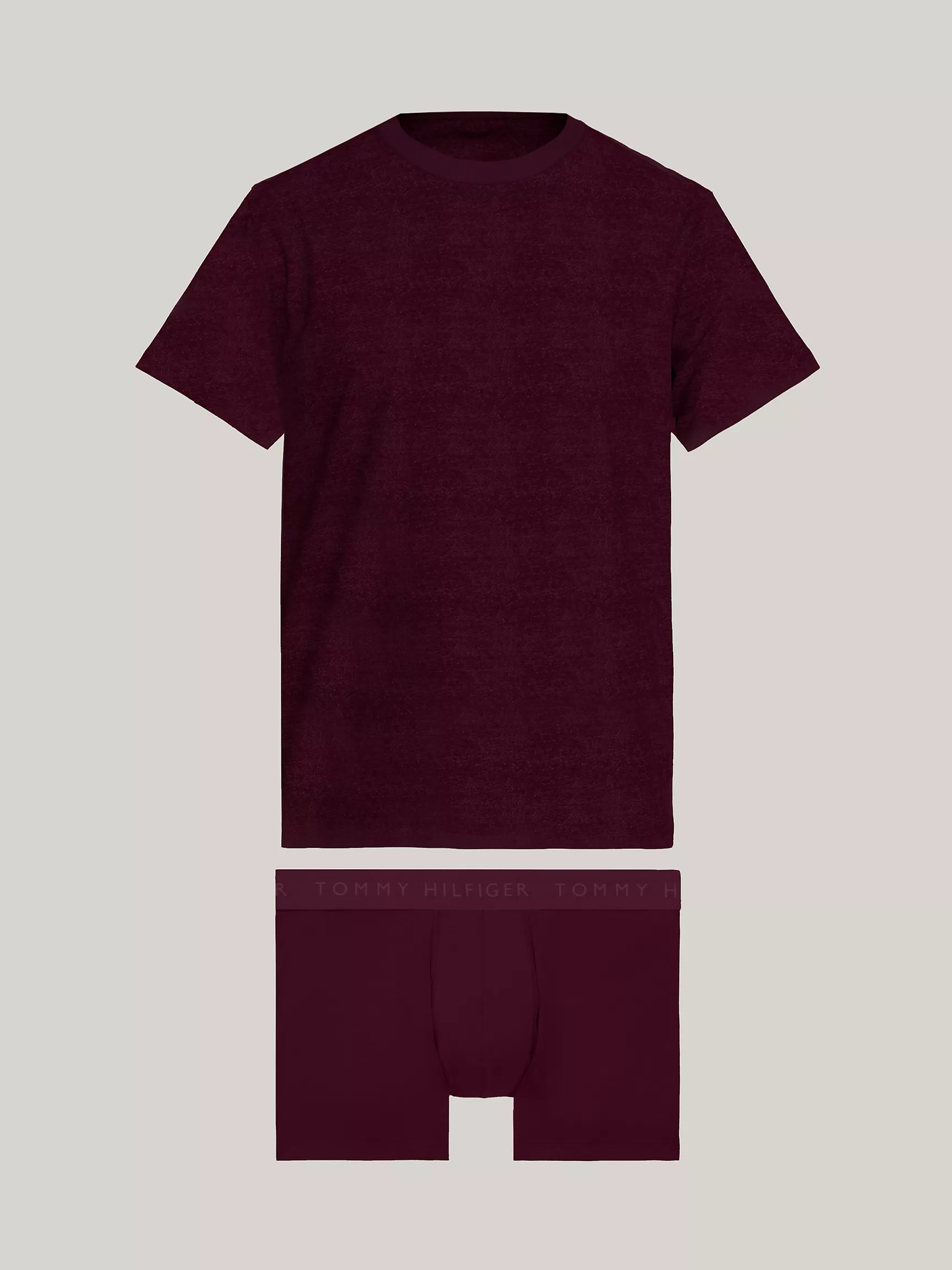 Мужское нижнее белье Tommy Hilfiger, Комплект из трусов и футболки с логотипом Tommy (2 предмета)