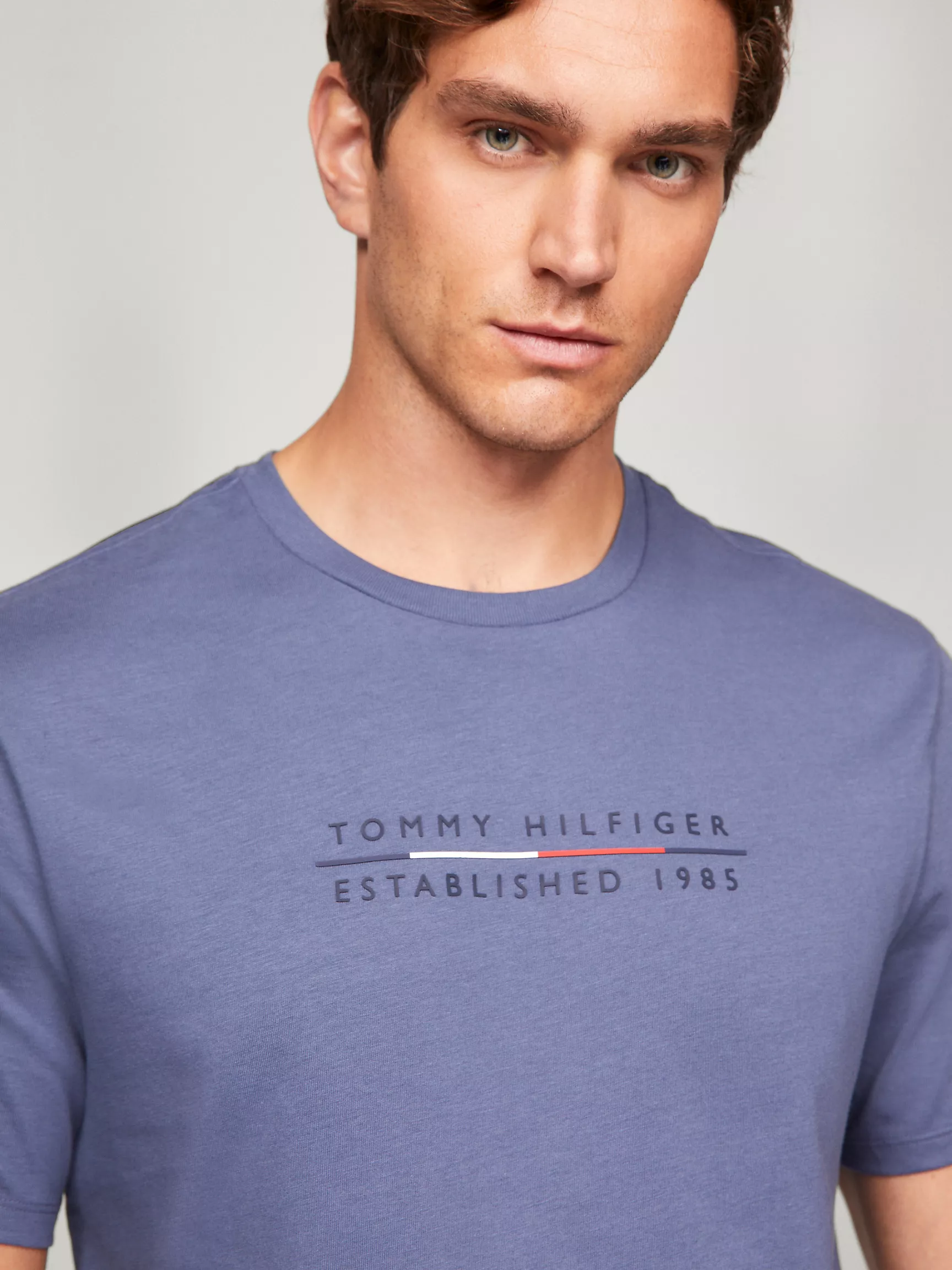 Мужская футболка Tommy Hilfiger, Футболка с вышитым логотипом Hilfiger