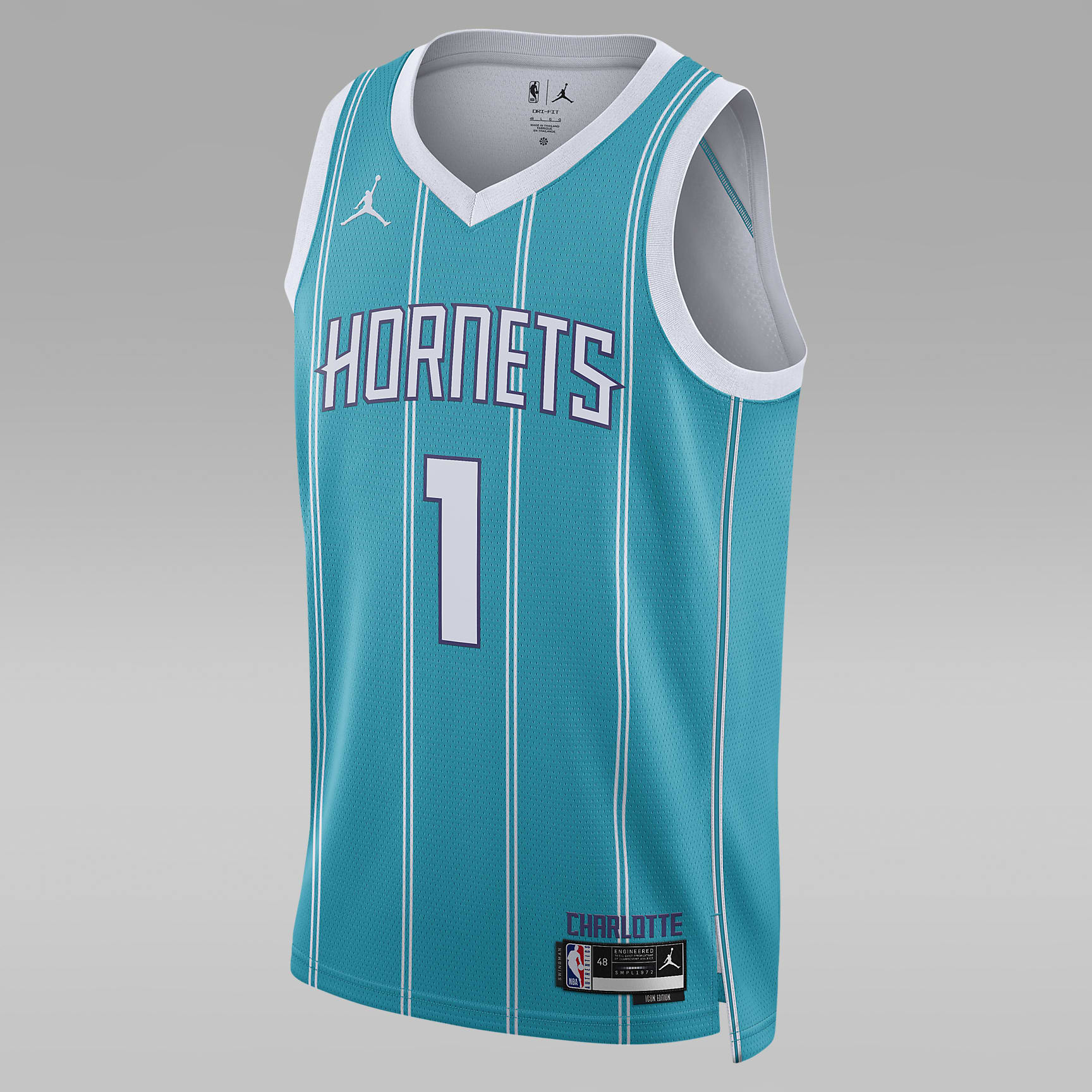 Charlotte Hornets Icon Edition 2022/23 Men's Jordan Dri-FIT NBA Swingman Jersey