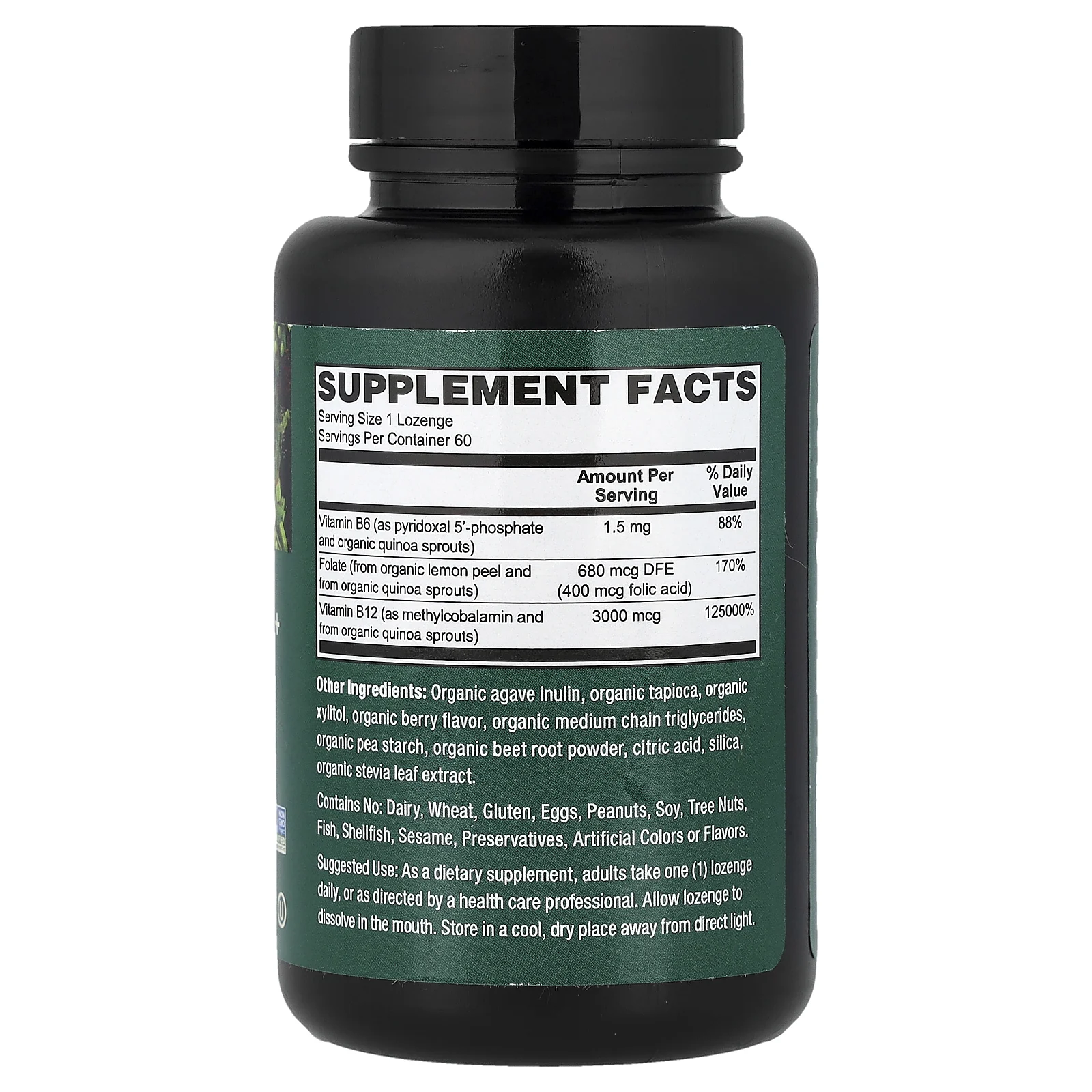 PlantFusion, веганские цельные продукты, органические фолаты и метил B12, со вкусом натуральных ягод, 60 пастилок