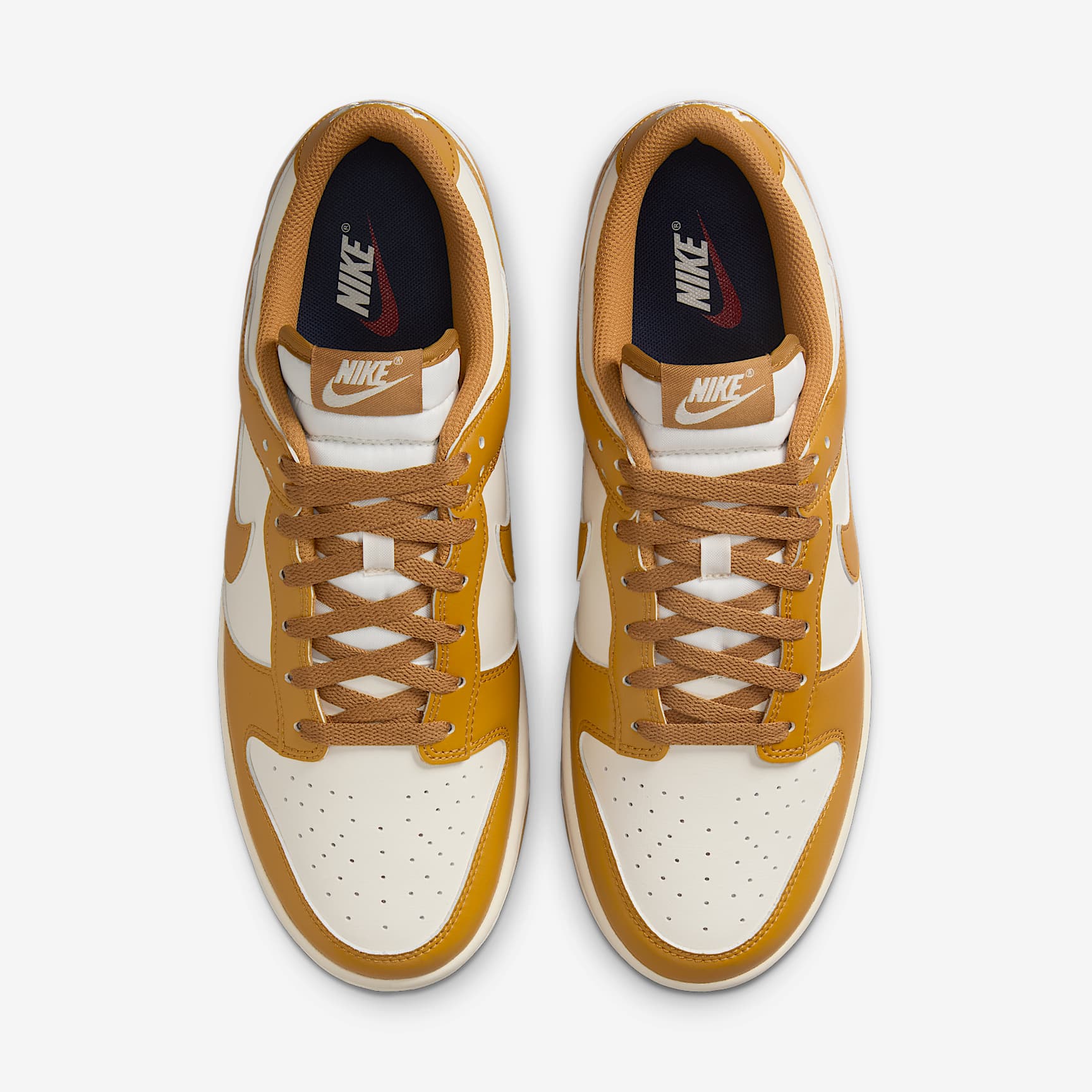 Nike Dunk Low Retro Men's Shoes