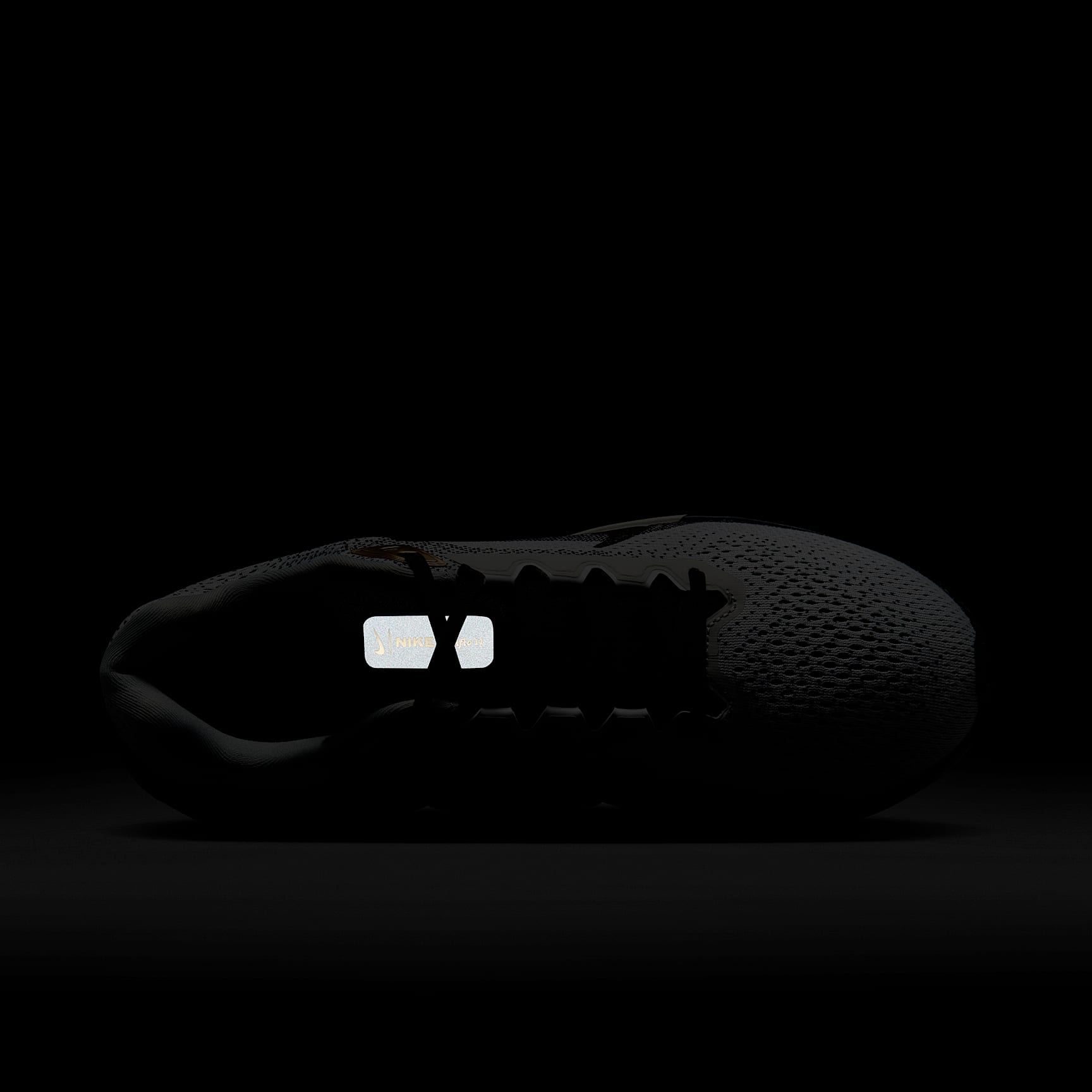 Nike Winflo 11 SE Men's Road Running Shoes