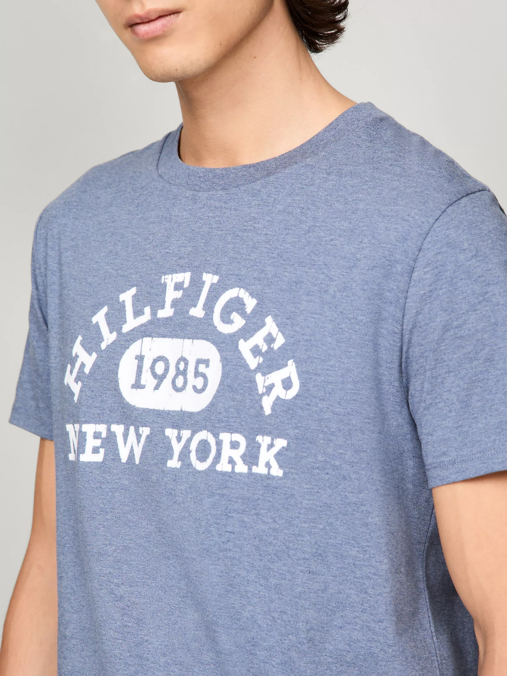 Мужская футболка Tommy Hilfiger, Футболка с университетским монограммным логотипом