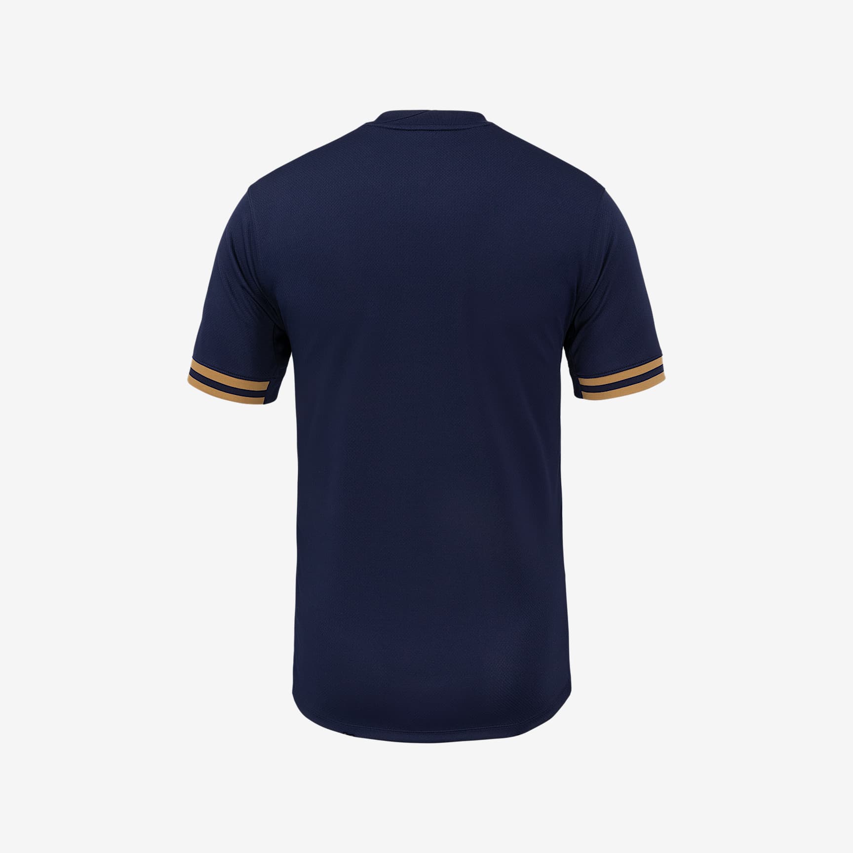 Seattle Reign FC 2025 Stadium Home Men's Nike Dri-FIT NWSL Replica Jersey