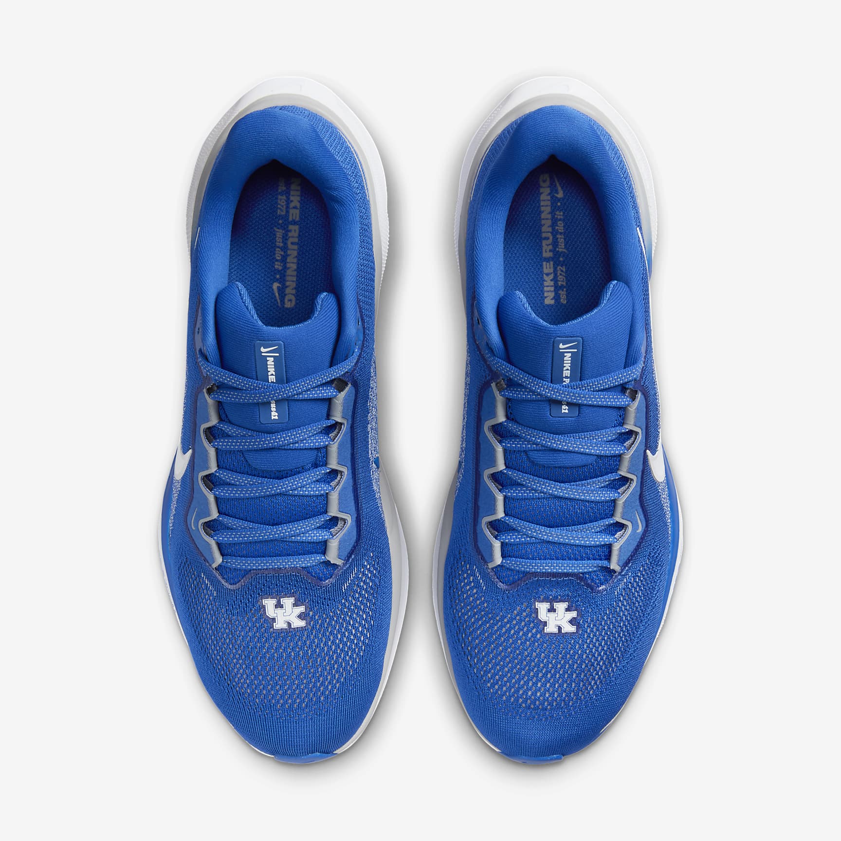 Kentucky Pegasus 41 Men's Nike College Road Running Shoes