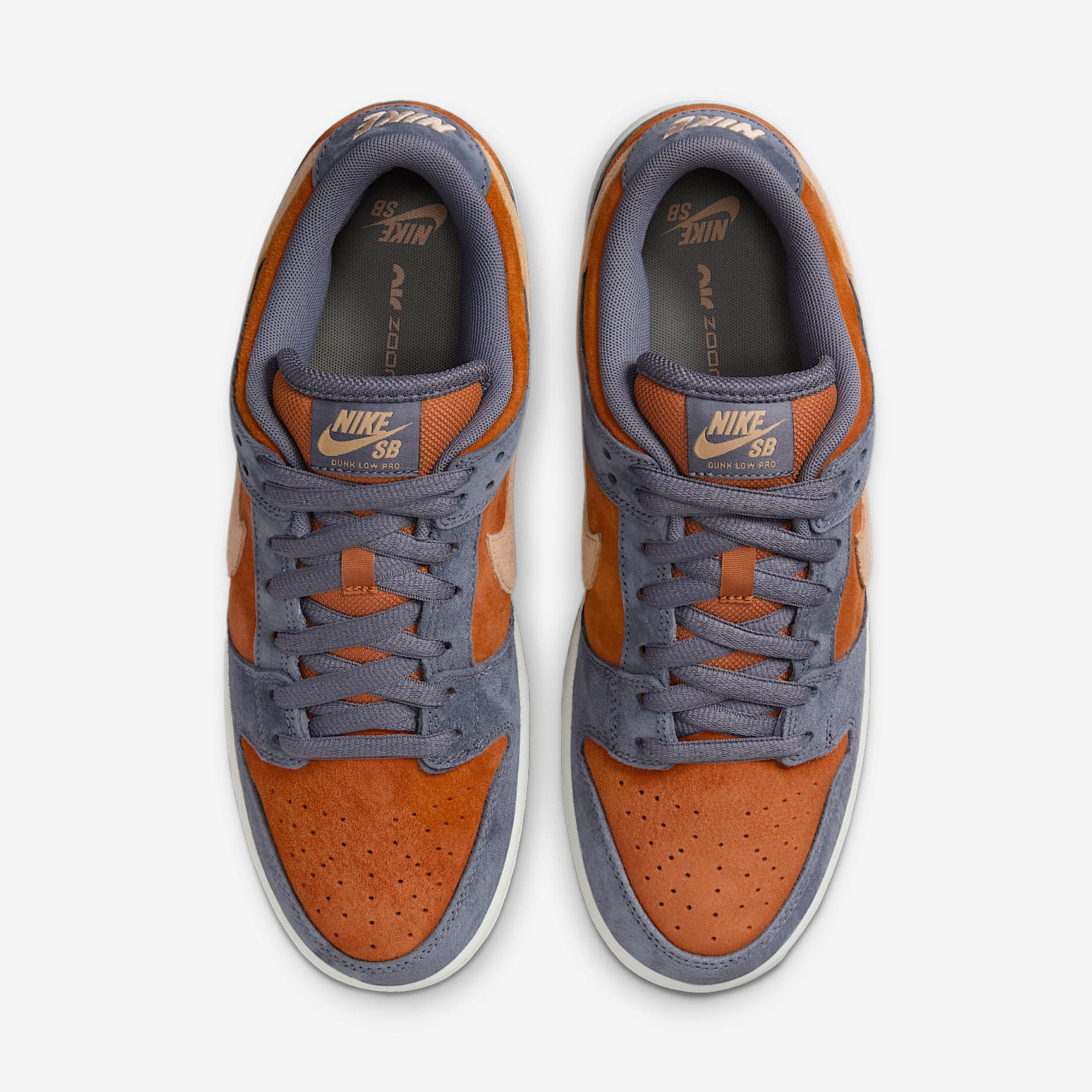Nike SB Dunk Low Pro Skate Shoes