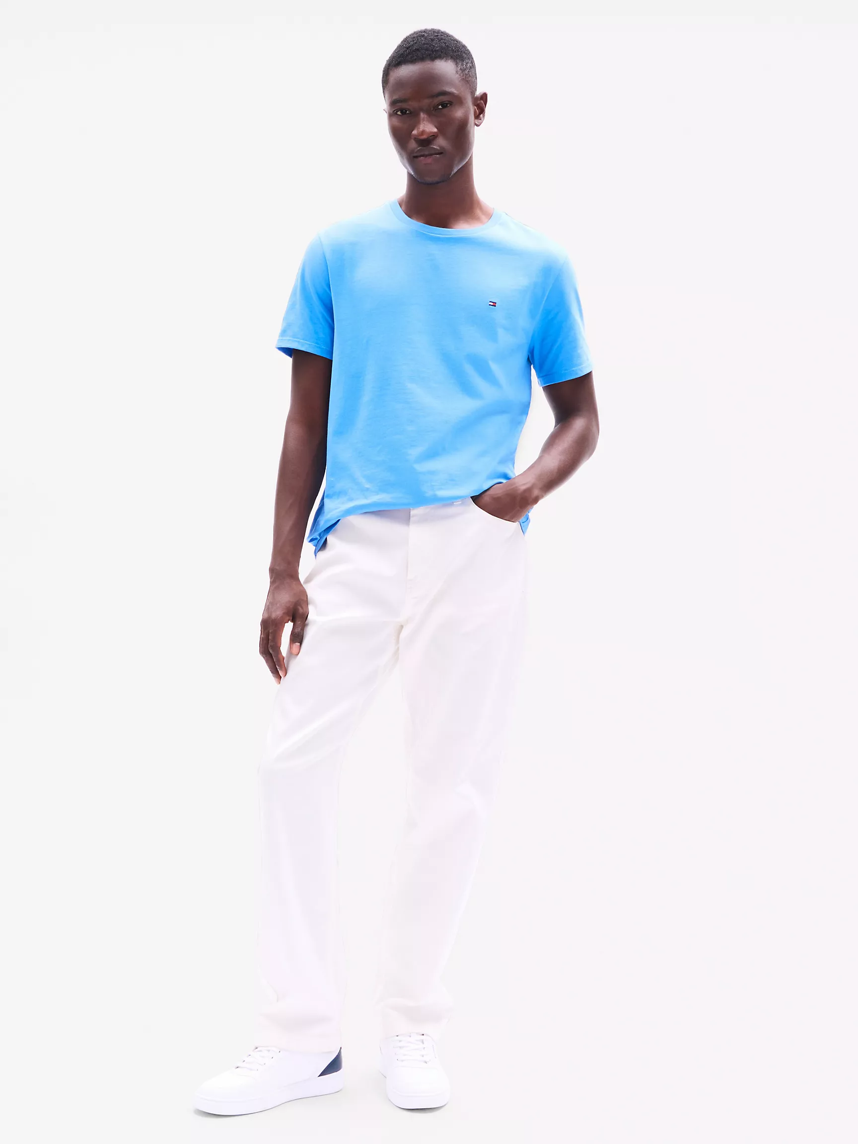 Мужская футболка Tommy Hilfiger, Повседневная футболка