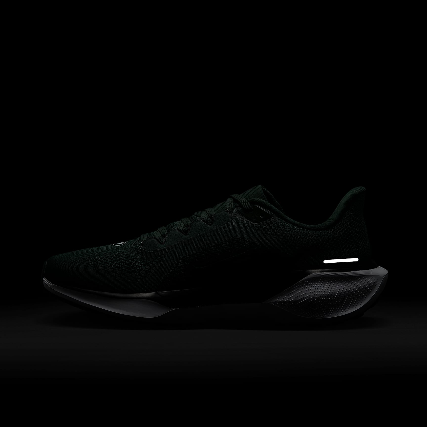 Nike Pegasus 41 NFL New York Jets Men's Road Running Shoes