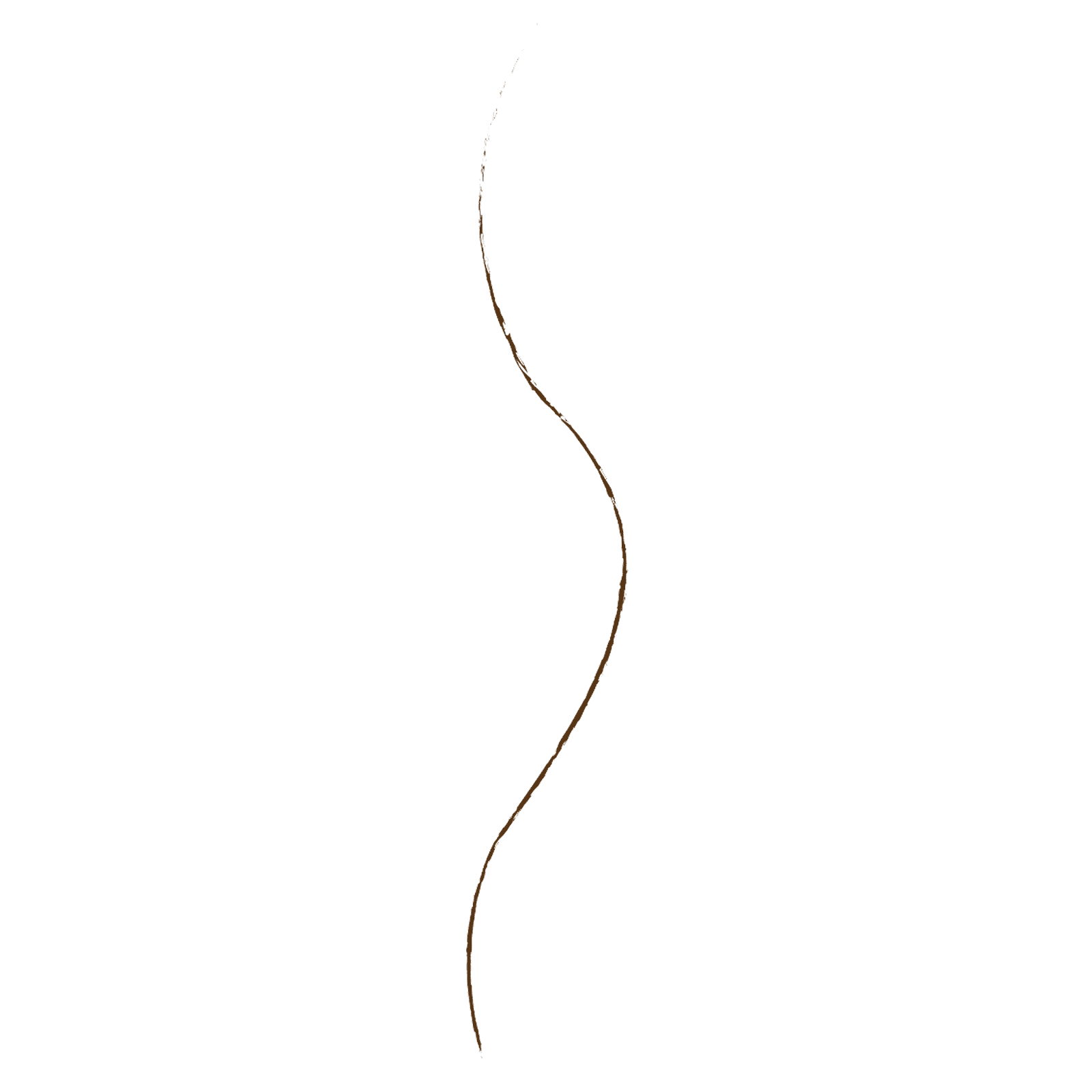 wet n wild, Ultimate Brow, карандаш для бровей, брюнетка, 0,06 г (0,002 унции)