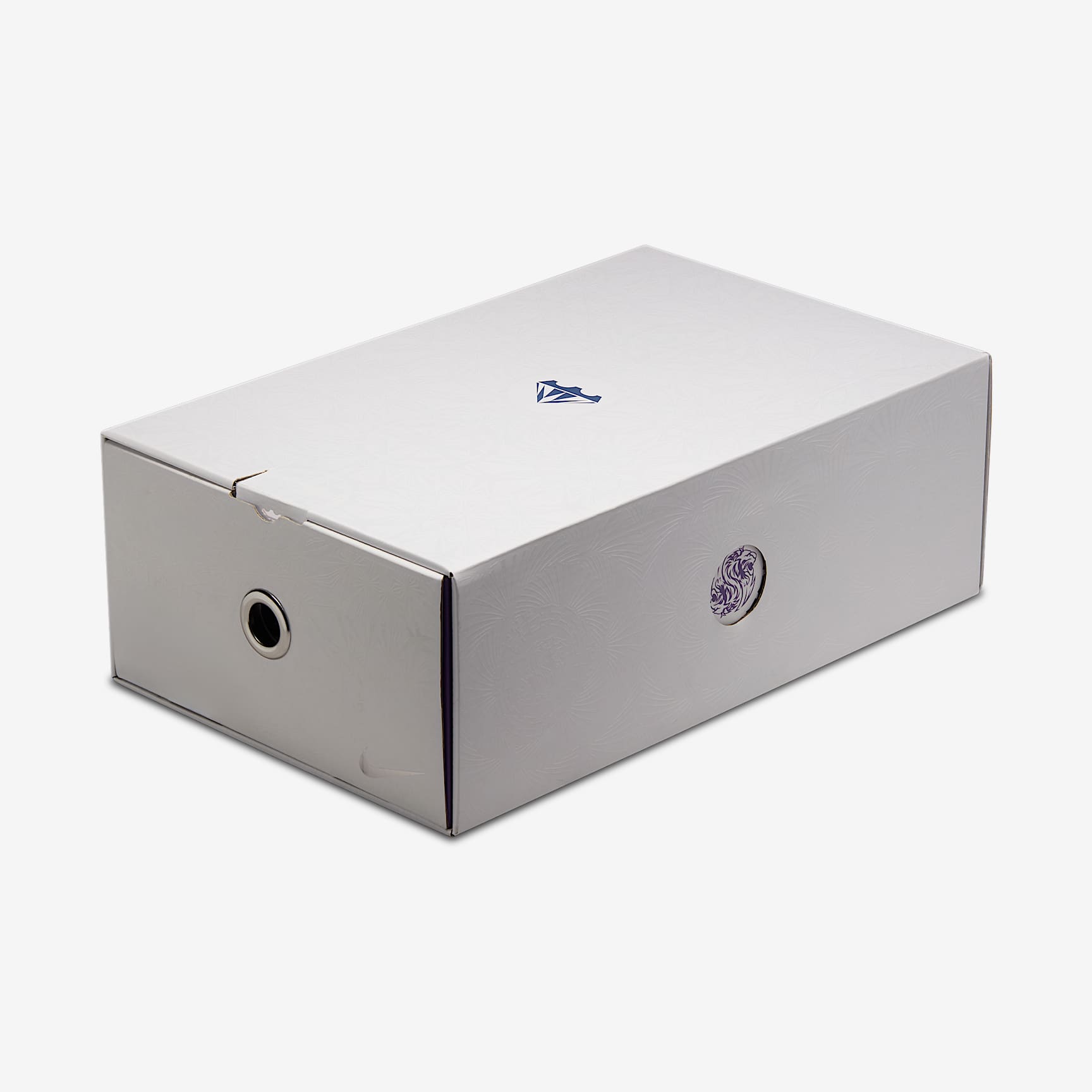 LeBron XXII "Tunnel Vision" Basketball Shoes