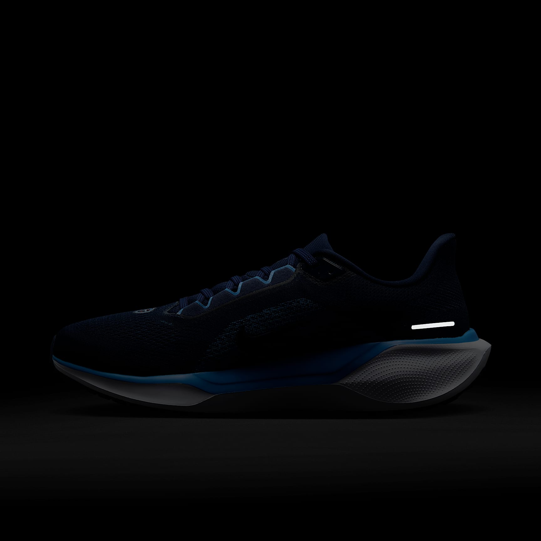 Nike Pegasus 41 NFL Tennessee Titans Men's Road Running Shoes